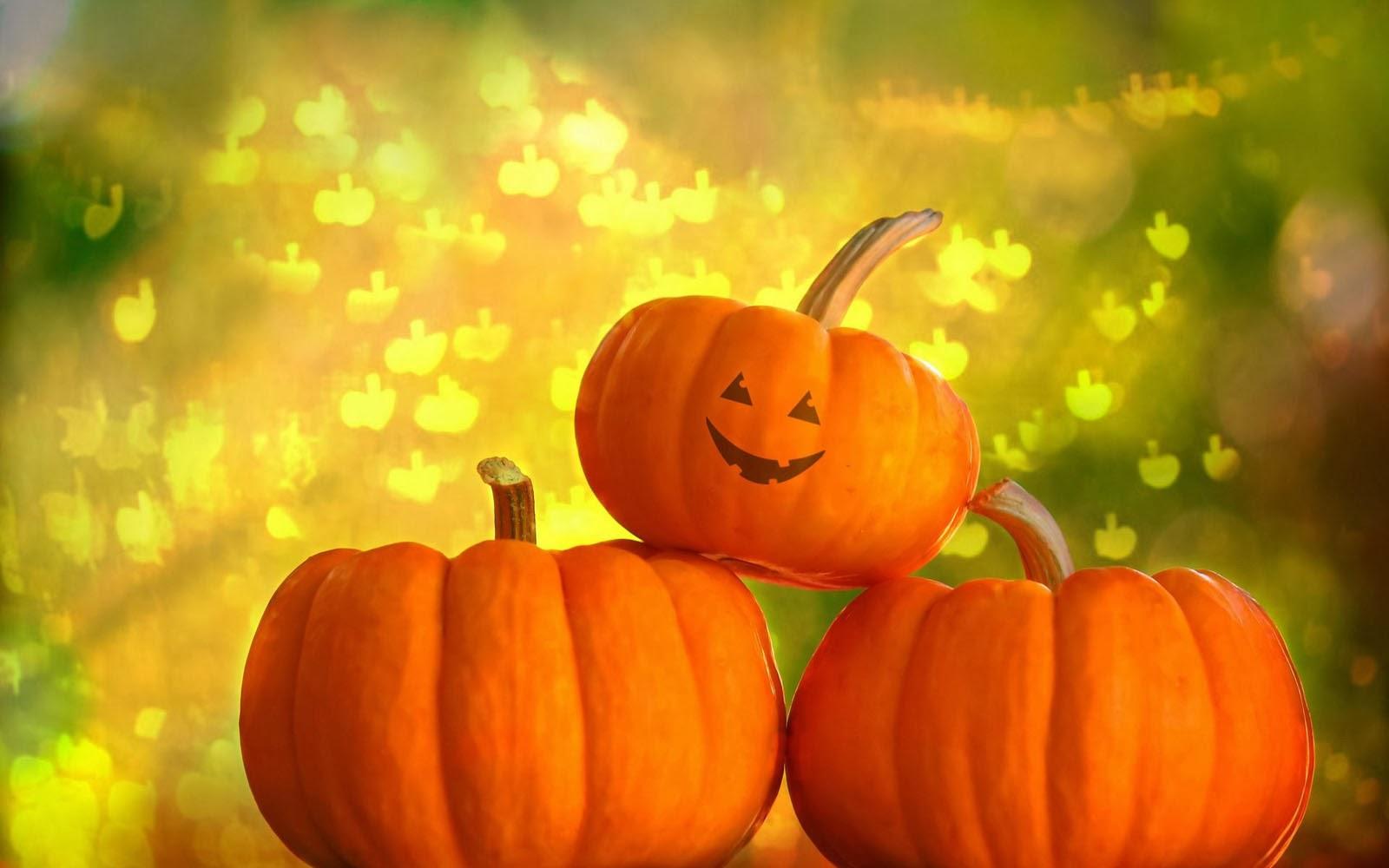 1600x1000 art picture: Pumpkin Wallpaper