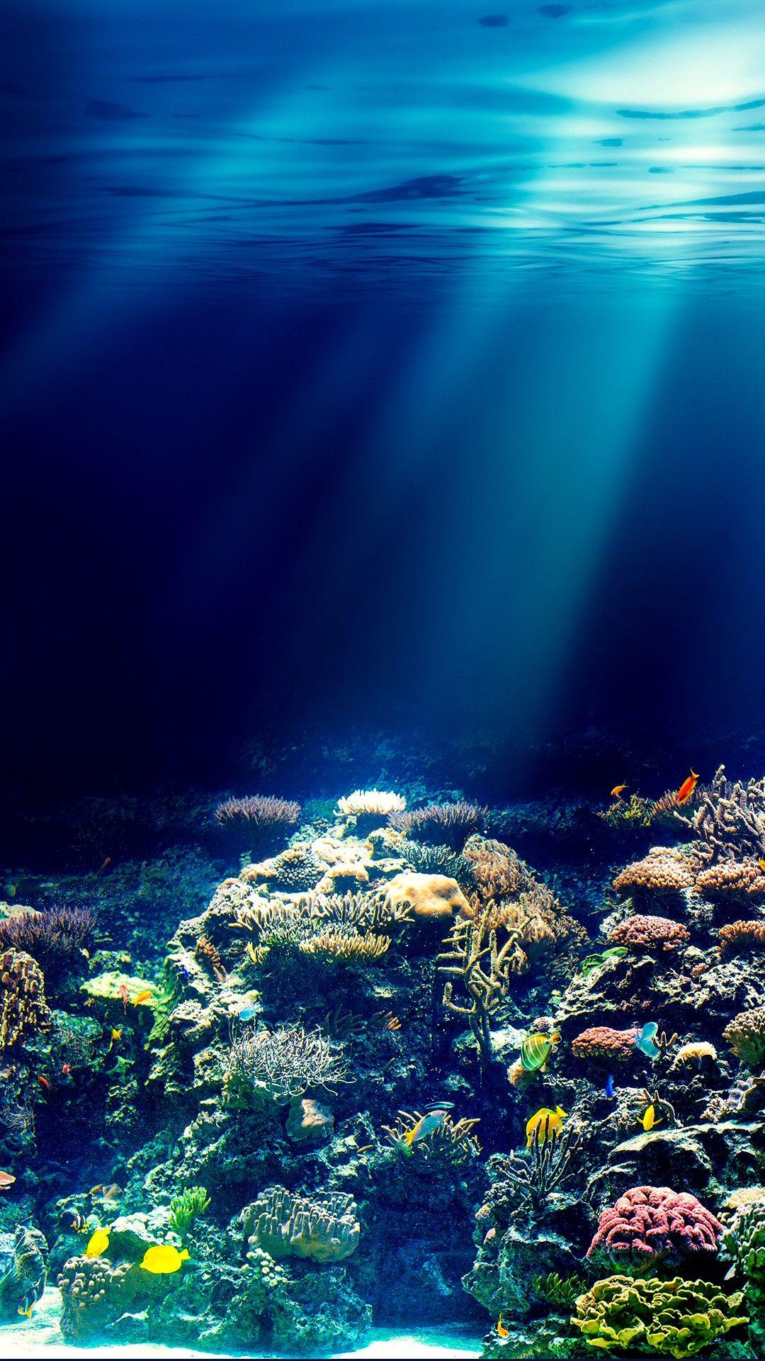 1080x1920 Underwater iPhone Wallpaper, HD Underwater iPhone Background on WallpaperBat