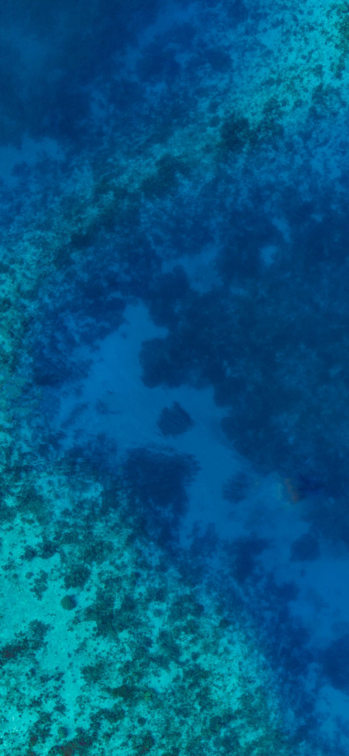 1420x3073 Ocean