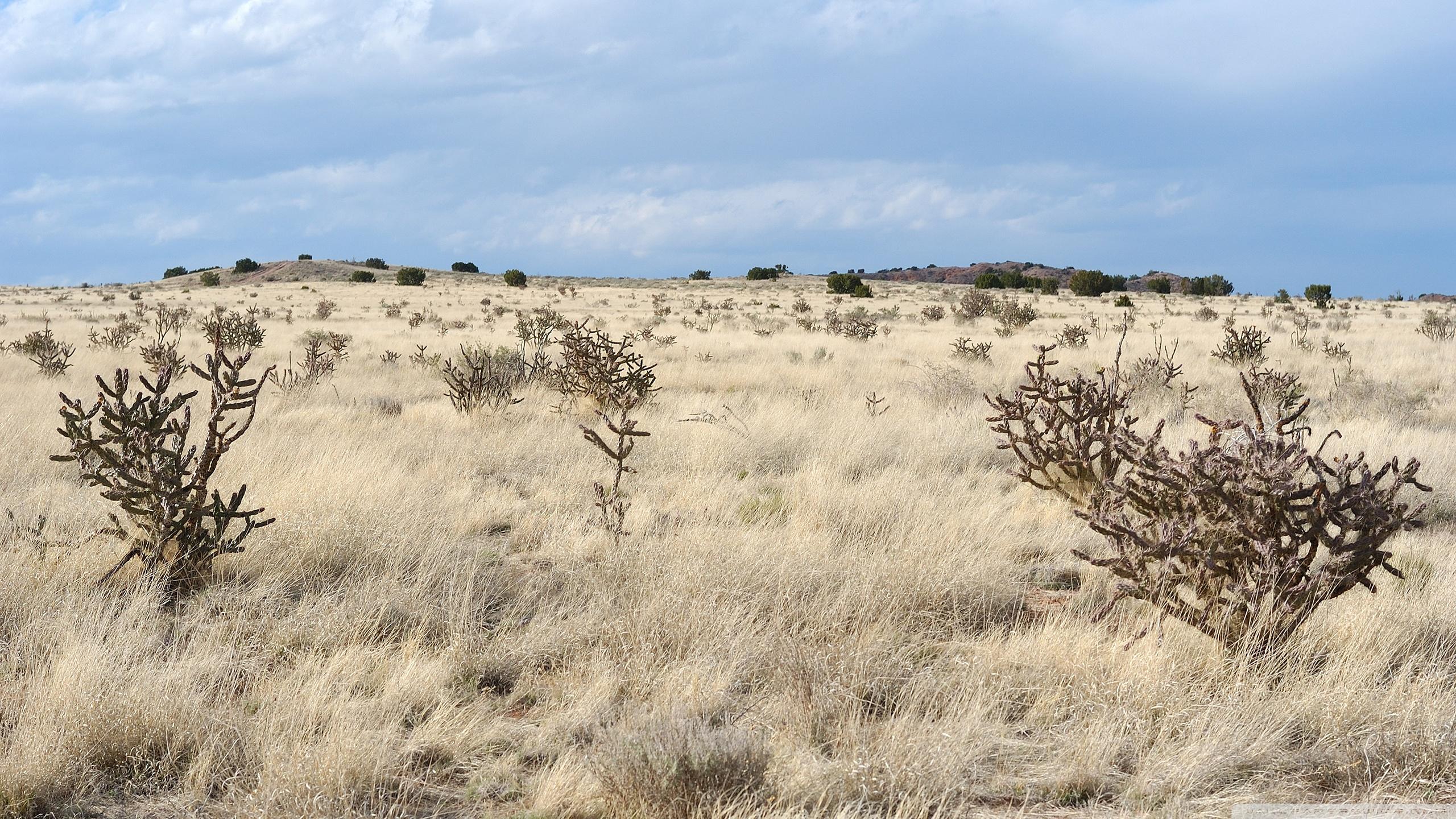 2560x1440 New Mexico Landscape Ultra HD Desktop Background Wallpaper for 4K UHD TV : Tablet
