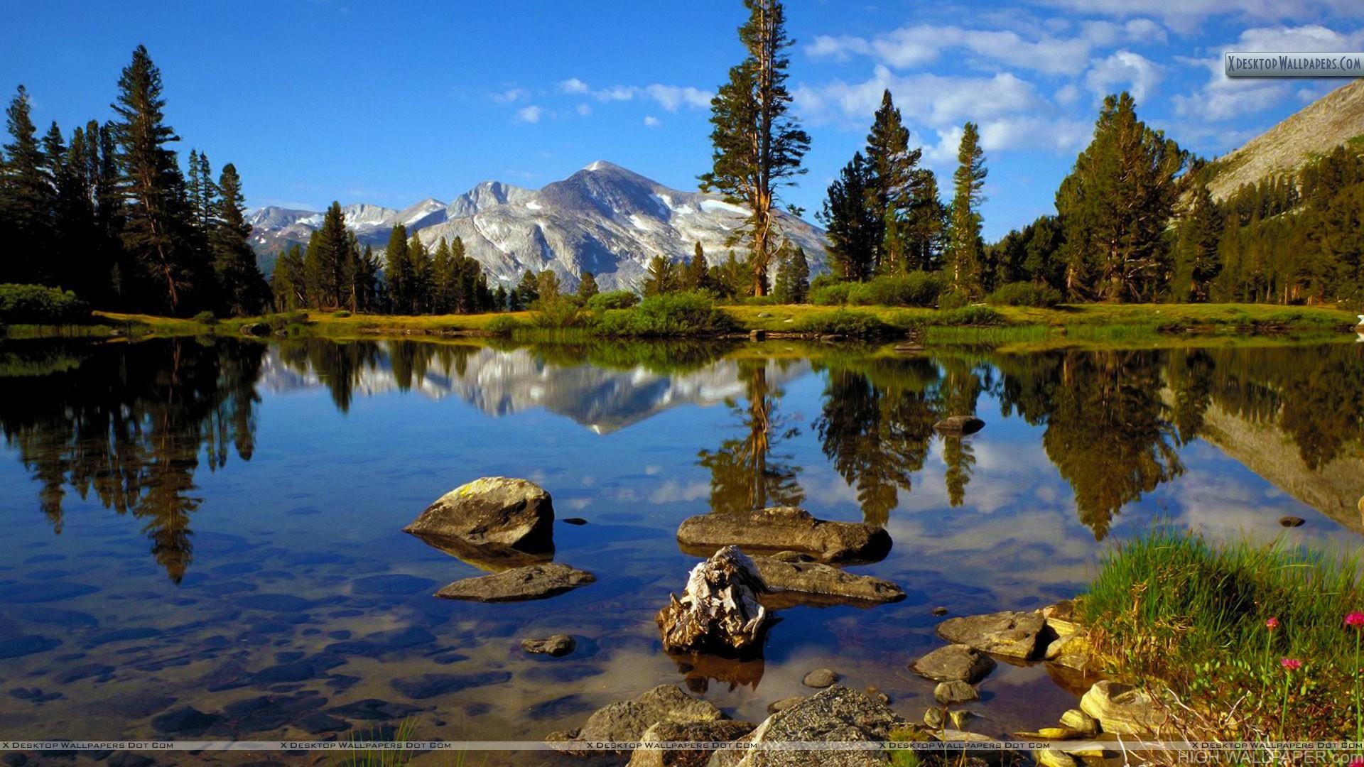 1920x1080 High Country Near Tioga Pass Yosemite National Park California HD Wallpaper