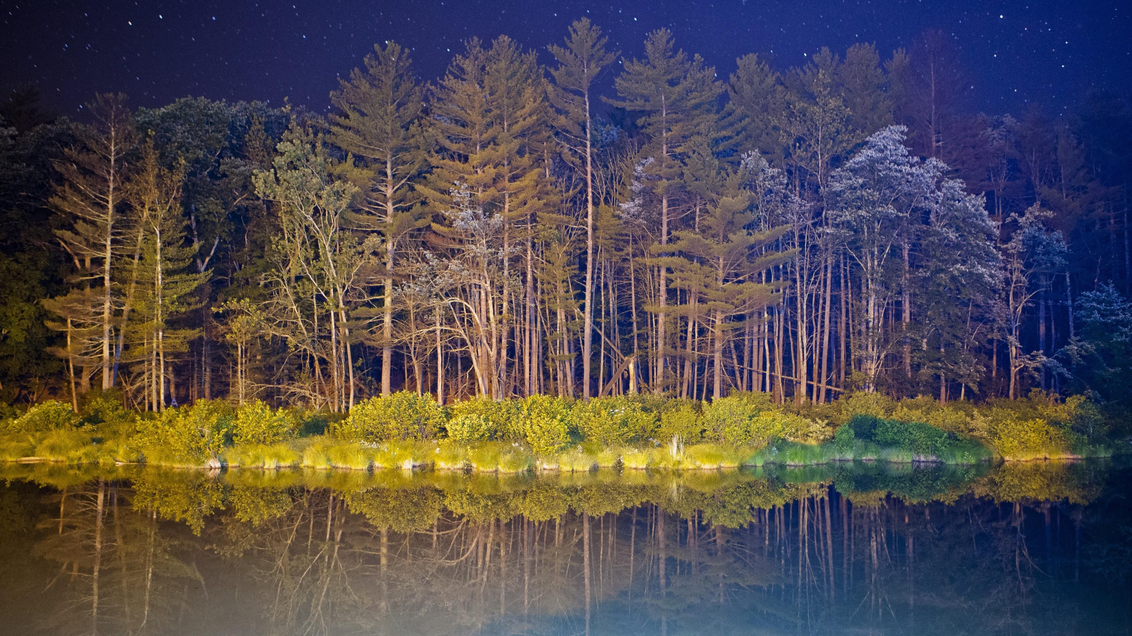3840x2160 Wallpaper android, 5k, 4k wallpaper, forest, landscape, night, pond, Nature