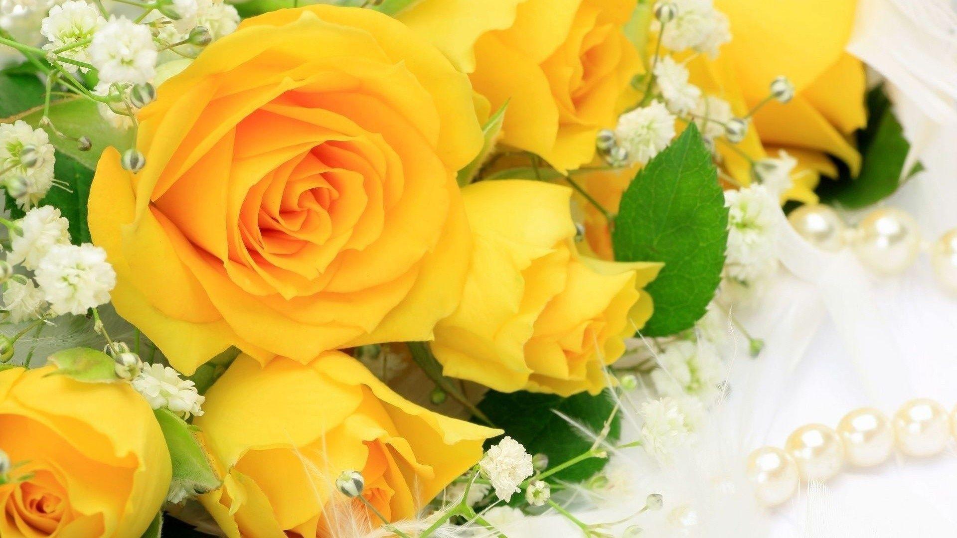 1920x1080 Rose Wallpaper For Desktop Full Size Hq Picture 13 HD Wallpaper. Yellow rose bouquet, Yellow roses, Yellow roses wallpaper