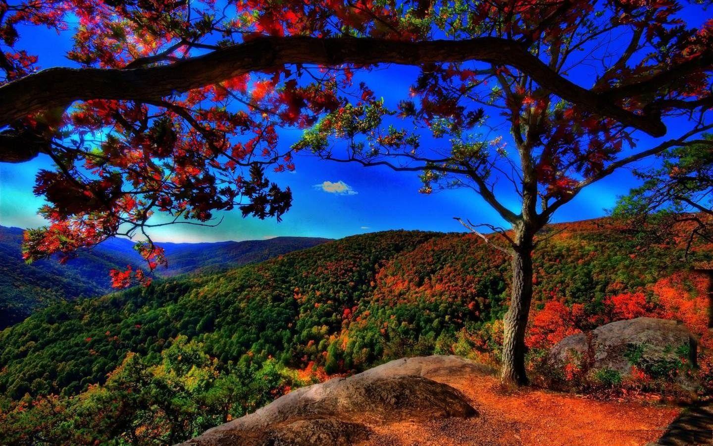 1440x900 Awesome Scenery Wallpaper Hd Desktop Background Free Picture