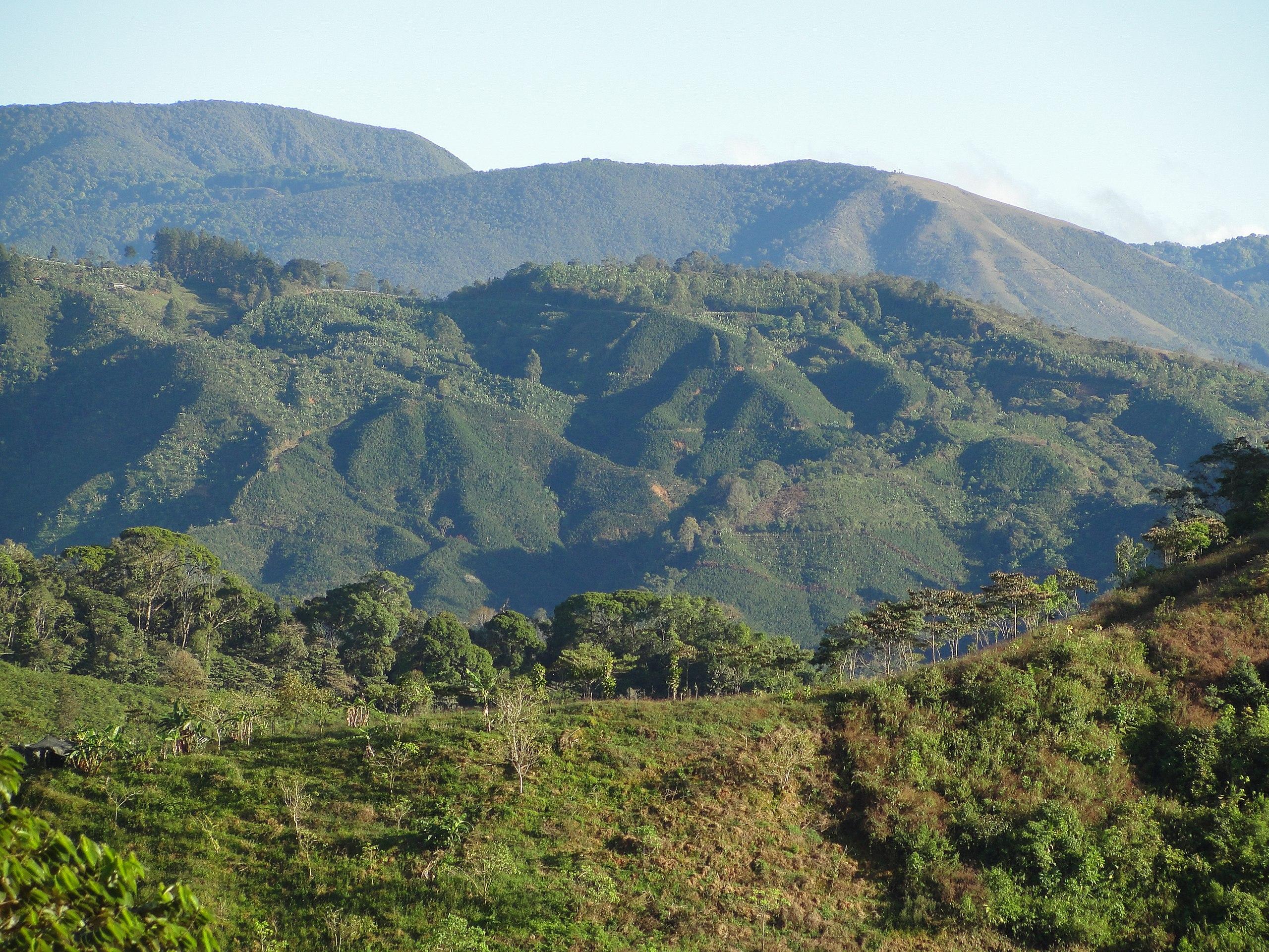 2560x1920 Coffee Fields Tarrazu Mountains Near Quepos Costa