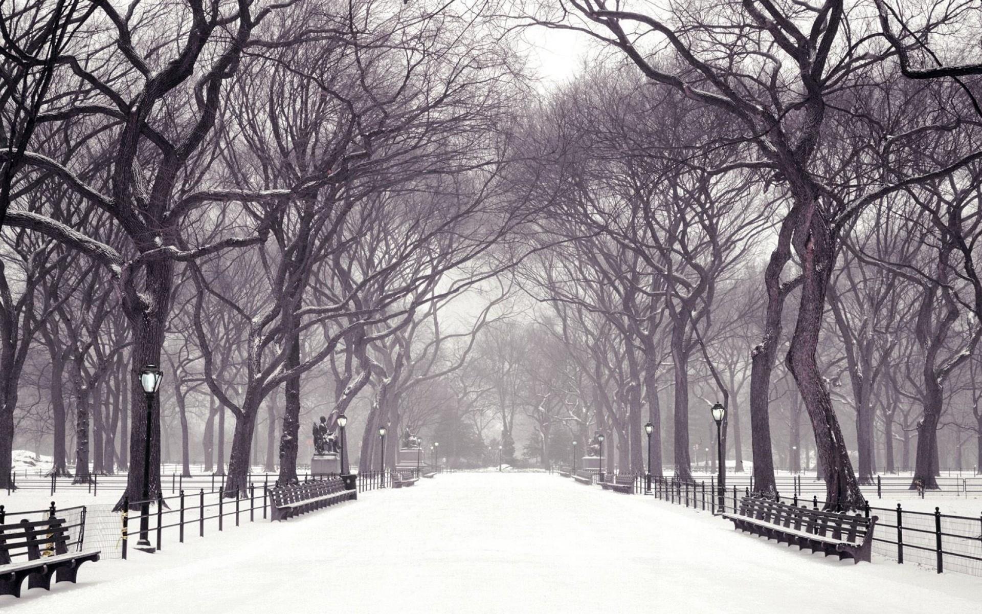 1920x1200 New York Winter Wallpaper 4k