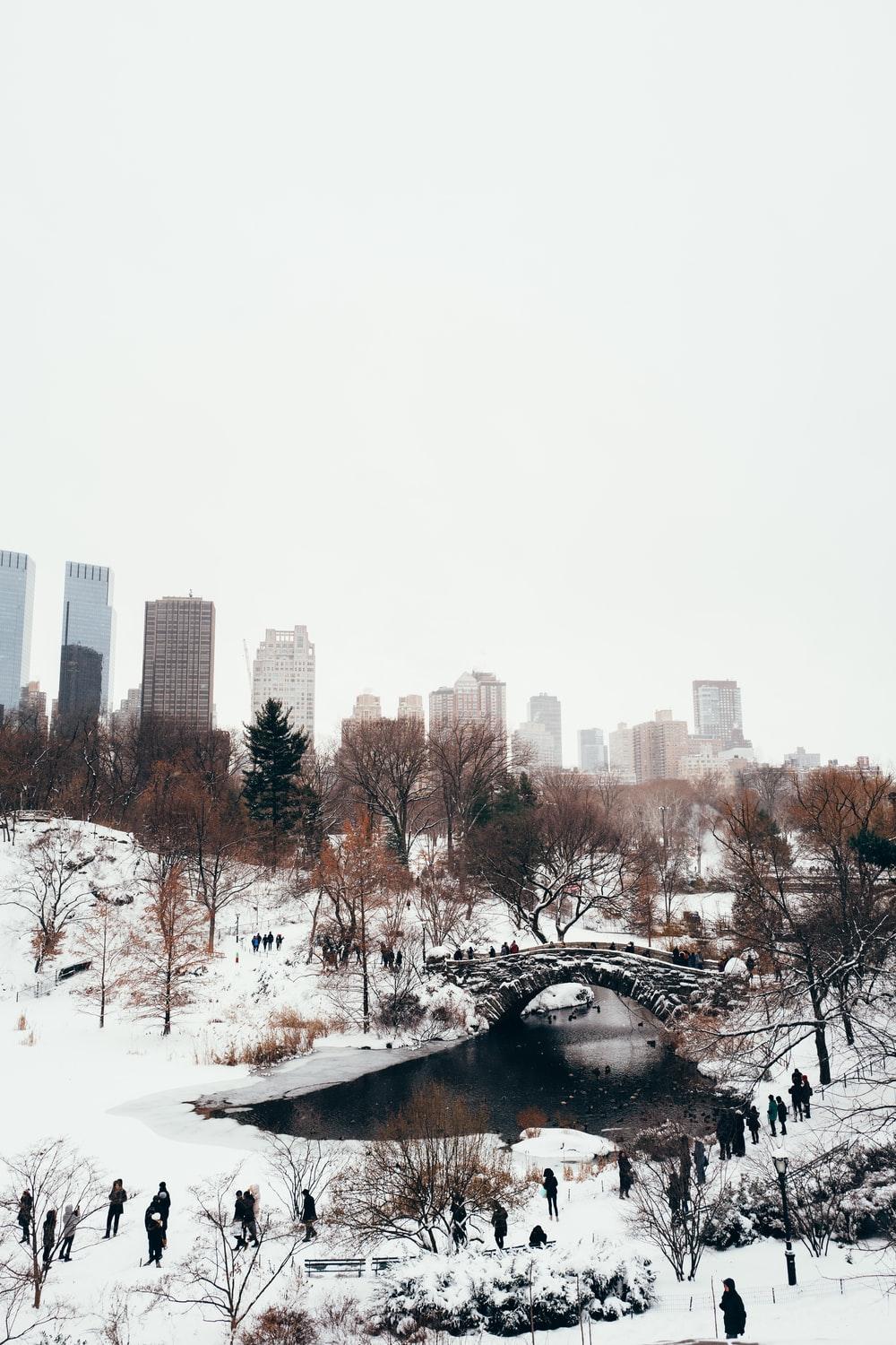 1000x1500 New York Snow Picture [HD]. Download Free Image
