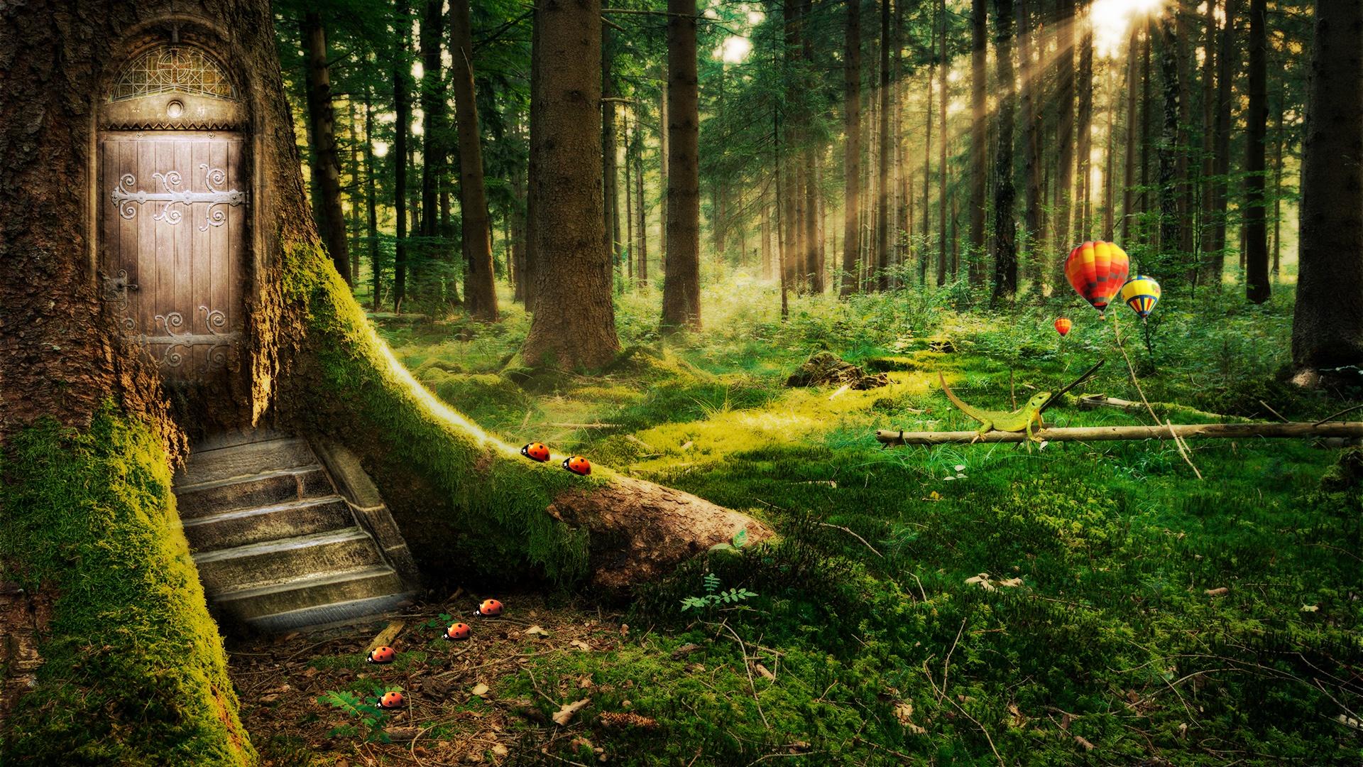 1920x1080 Enchanted Forest Wallpaper in jpg format for free download