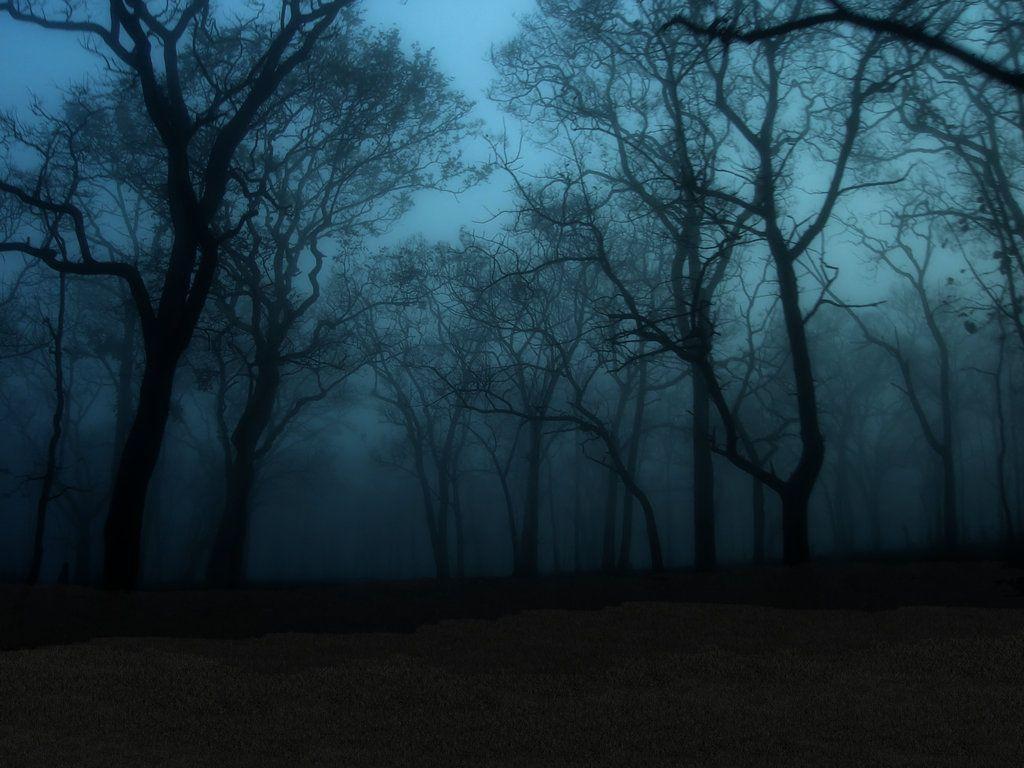 1024x768 Enchanted Forest Background
