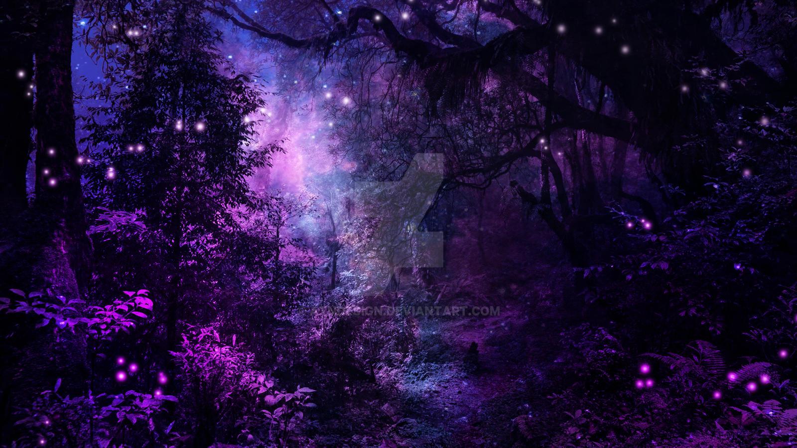 Dark Enchanted Forest Wallpapers Top Free Dark Enchanted Forest