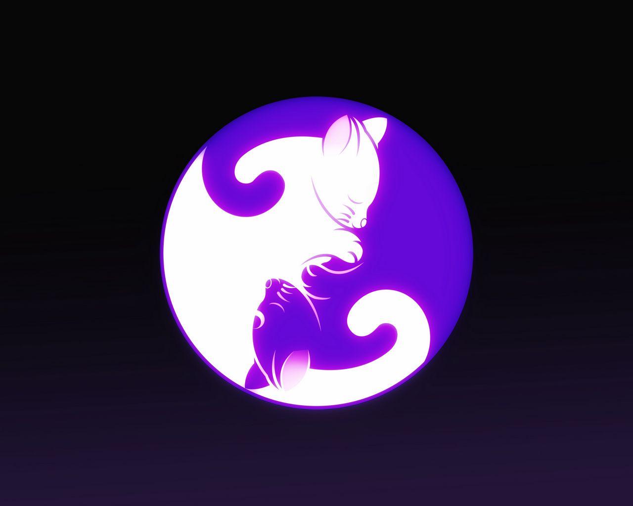 1280x1024 Download wallpaper 1280x1024 yin and yang, yin yang, cat, harmony standard 5:4 HD background