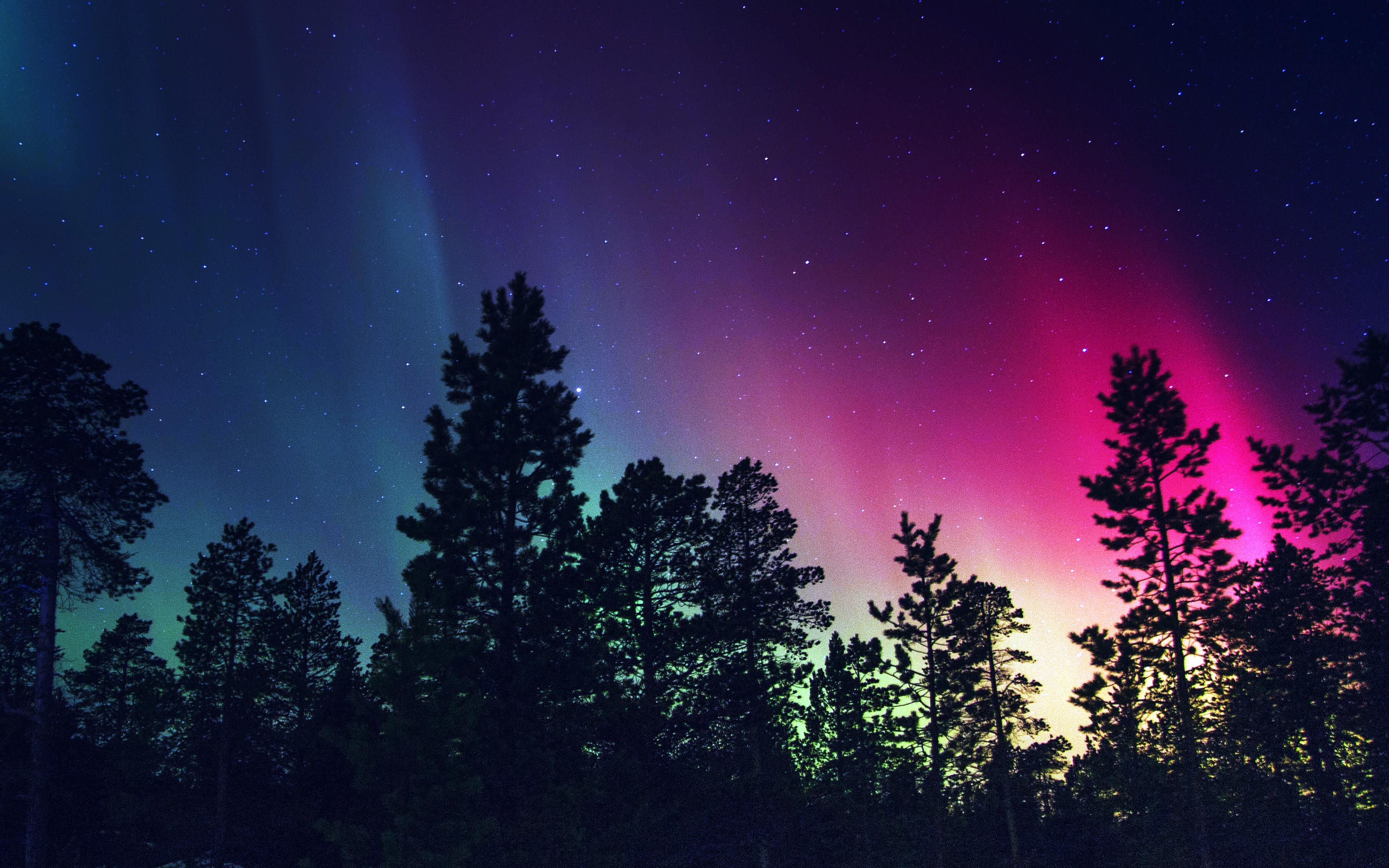 3840x2400 Snow Sky Aurora Night Winter Christmas Blue Wallpaper