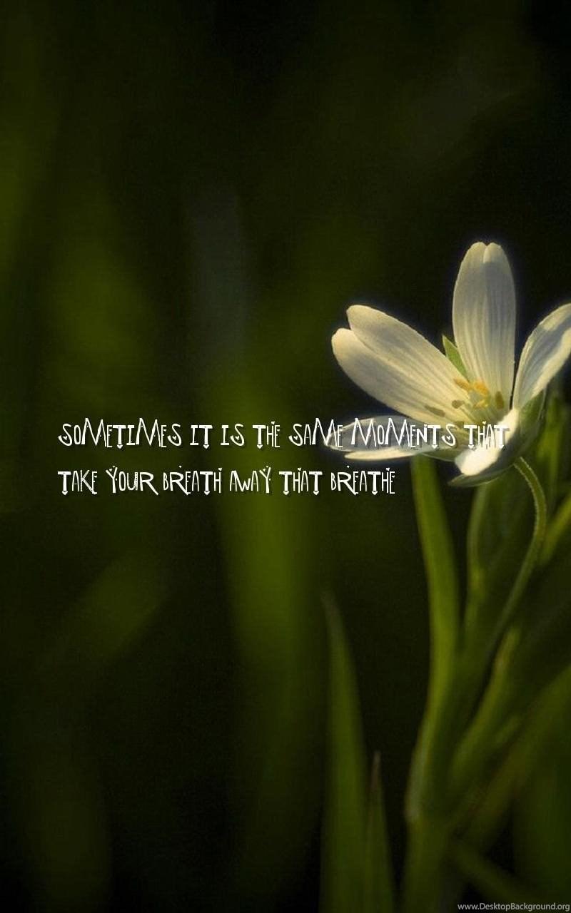 800x1280 Where To Buy True Love, Life Philosophy Quotes Wallpaper. Desktop Background