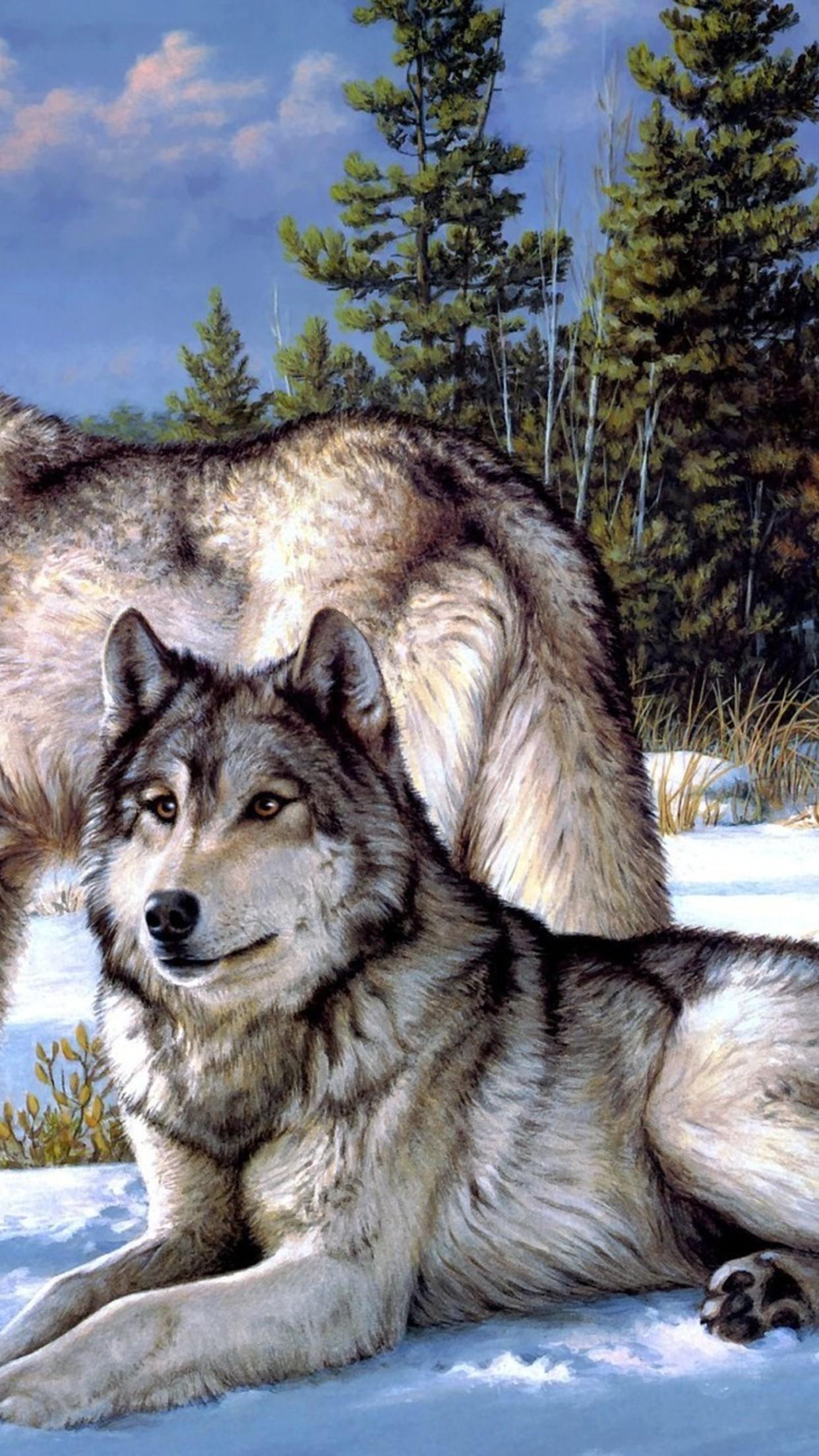 1242x2208 Draw Wolf Wallpaper for iPhone Pro Max, X, 6