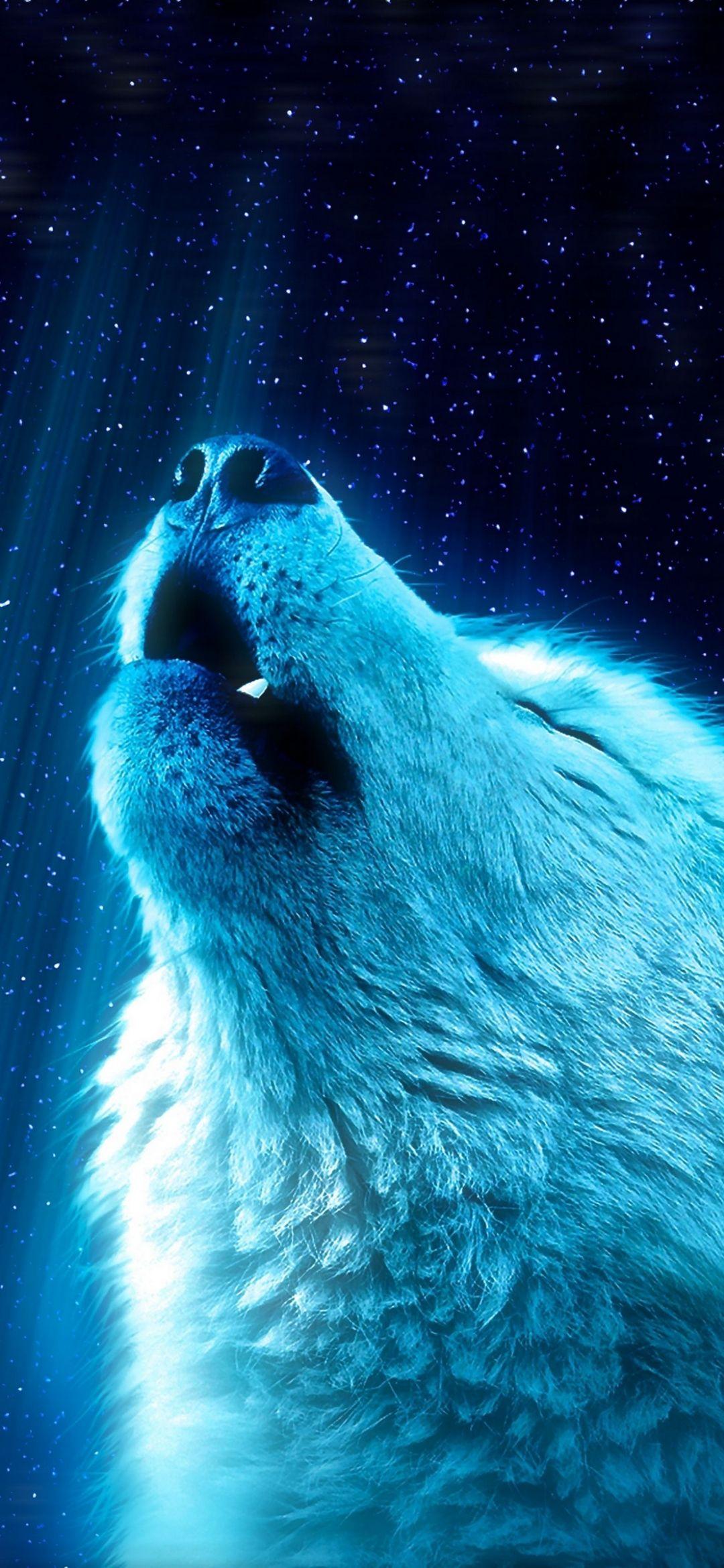 1080x2340 Apple. IPhone. Wallpaper. Wolf spirit animal, Wolf wallpaper, Wolf wallpaper