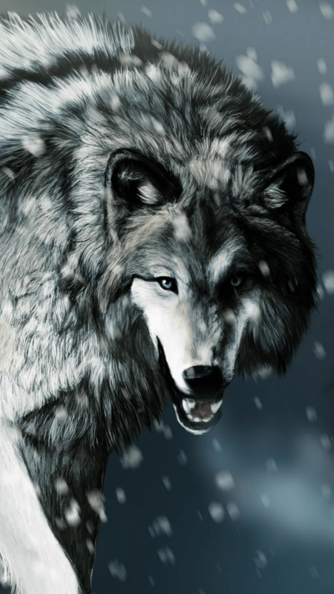 1080x1920 Wolf In Mountain Wallpaper