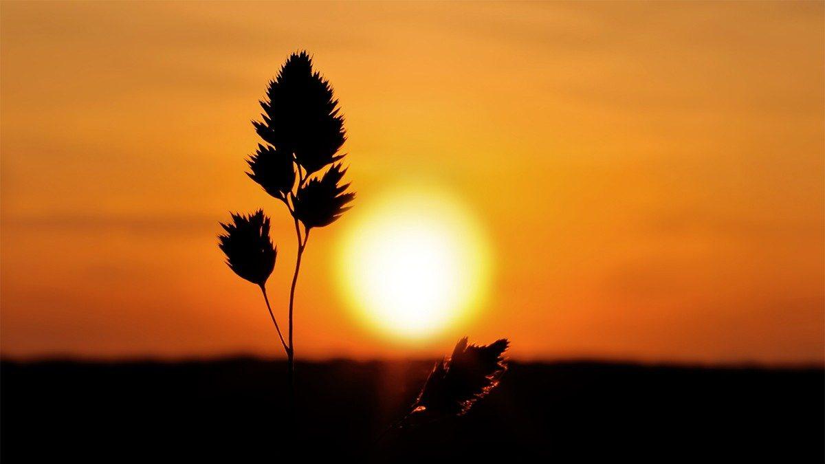 1200x675 Wednesday motivational quotes to inspire you to be successful