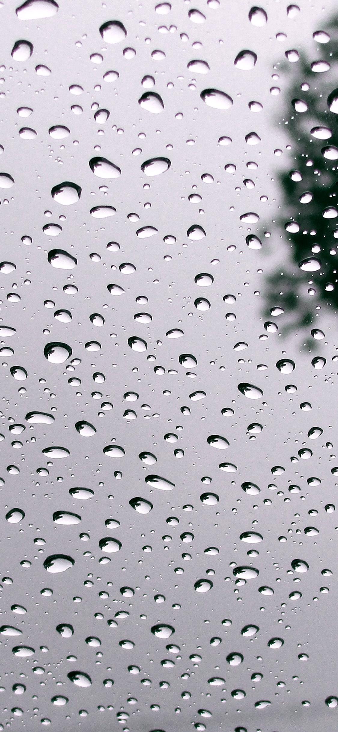 Cold Rain Wallpapers - Top Free Cold Rain Backgrounds - WallpaperAccess