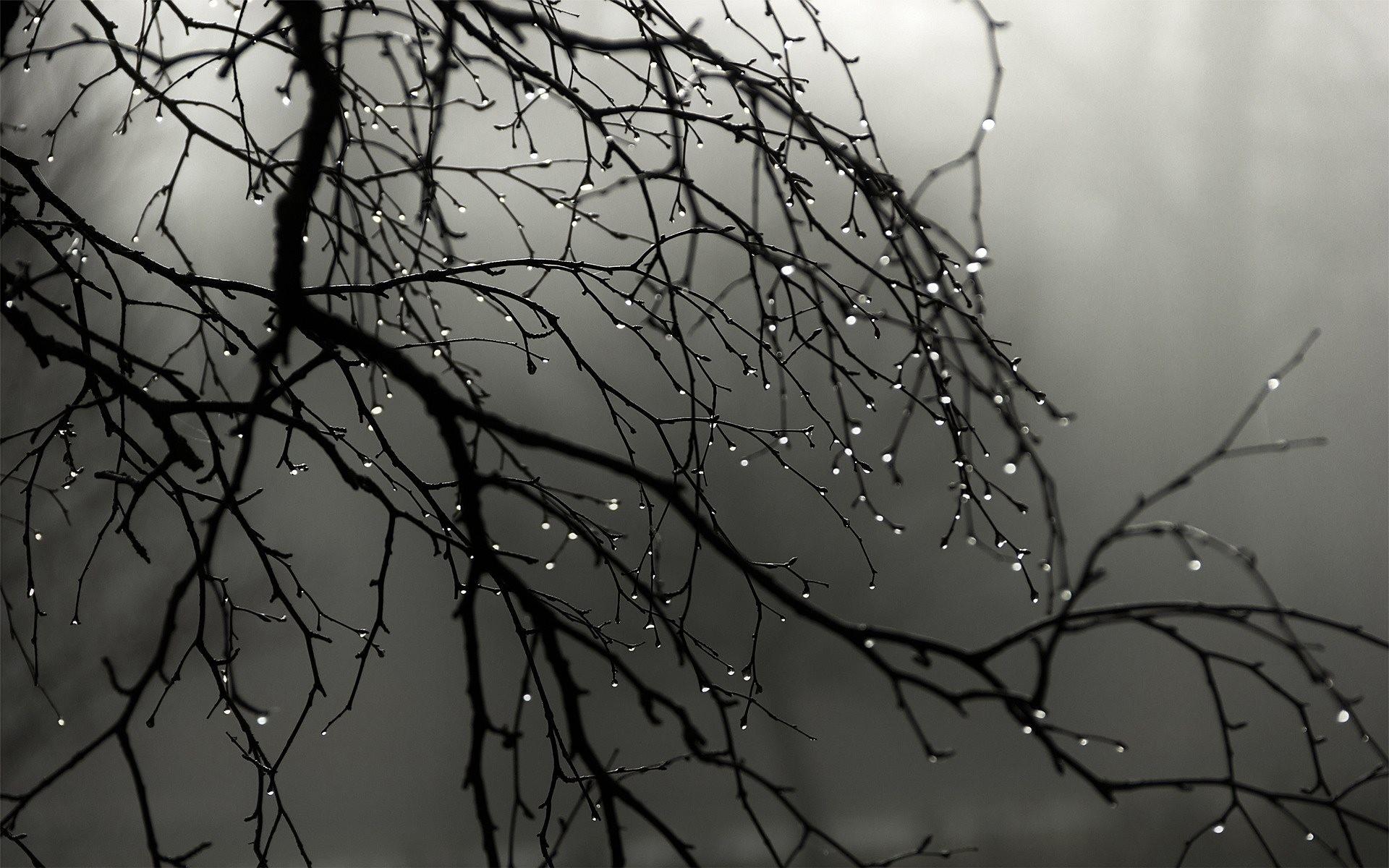 1920x1200 Rain wallpaper HD