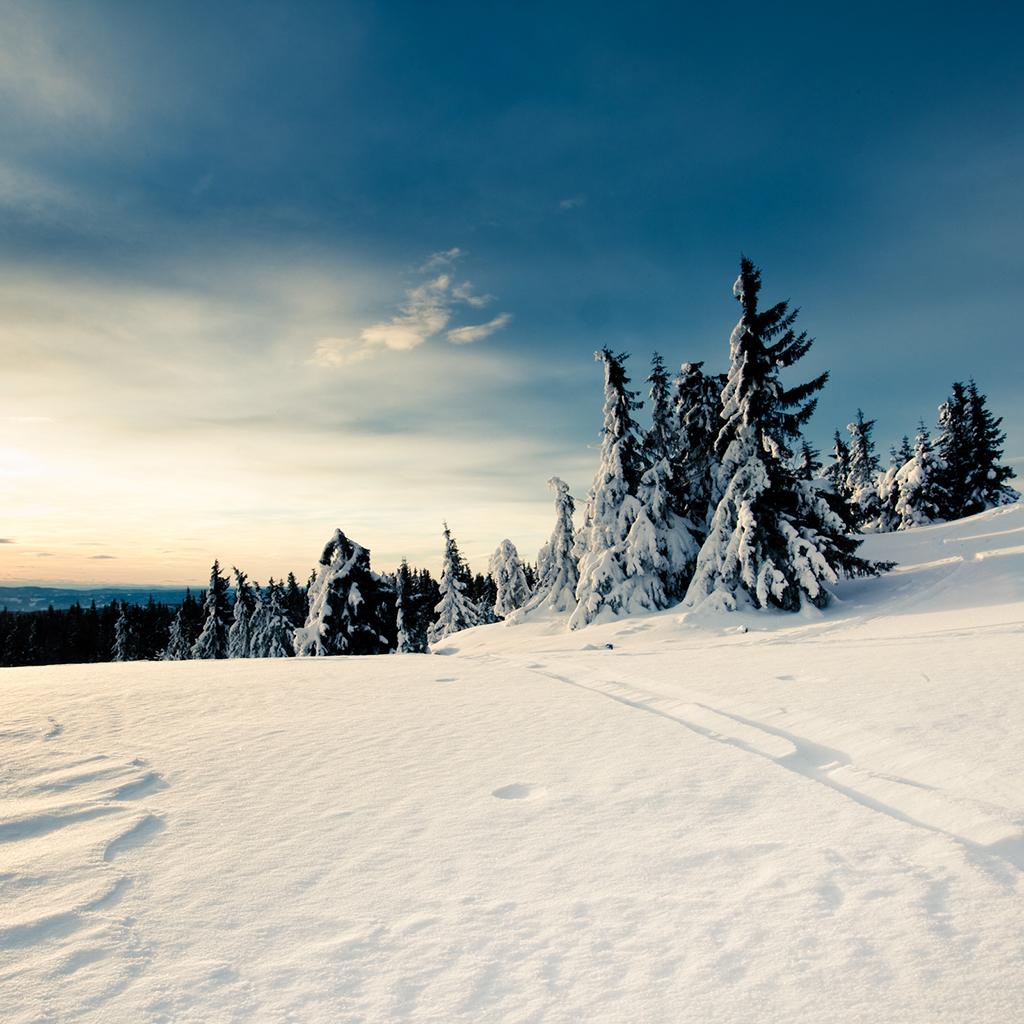1024x1024 InterfaceLIFT Wallpaper: Winter Sun