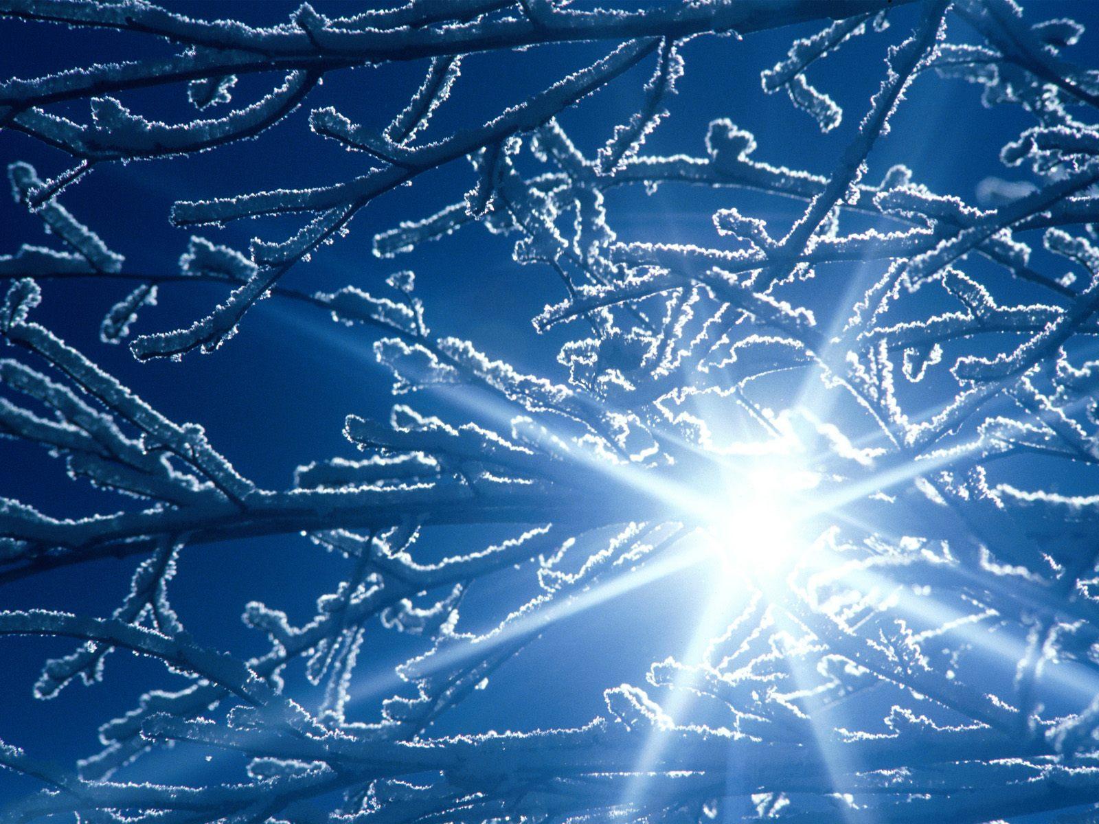 1600x1200 Winter sun Desktop Wallpaper FREE on
