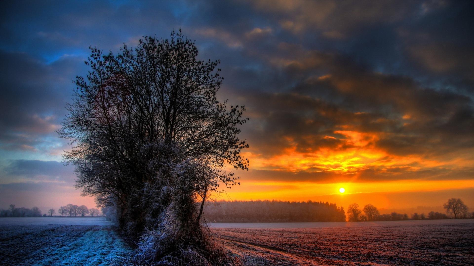 1920x1080 Free Winter Sun Wallpaper