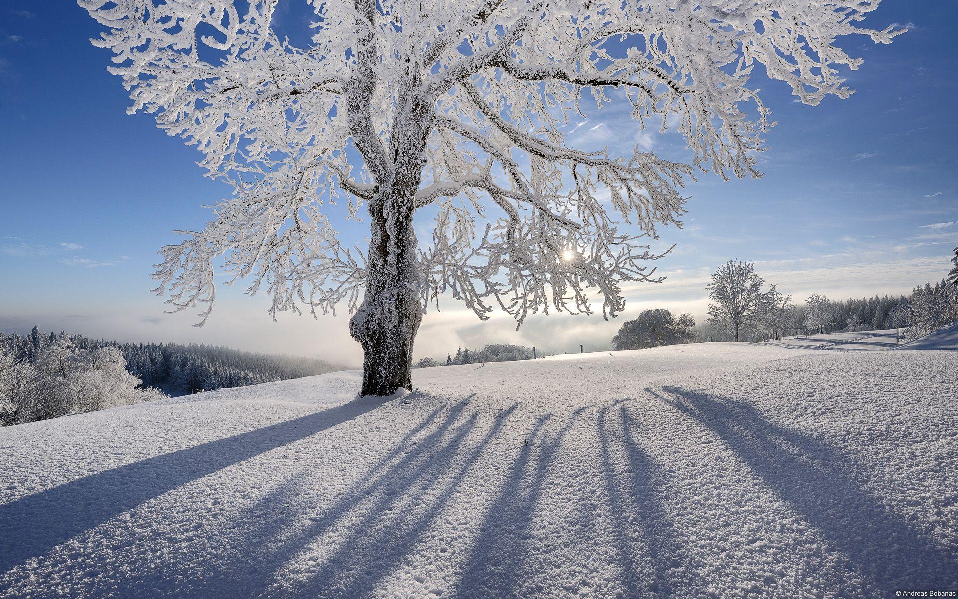 1920x1200 Winter Background For Desktop