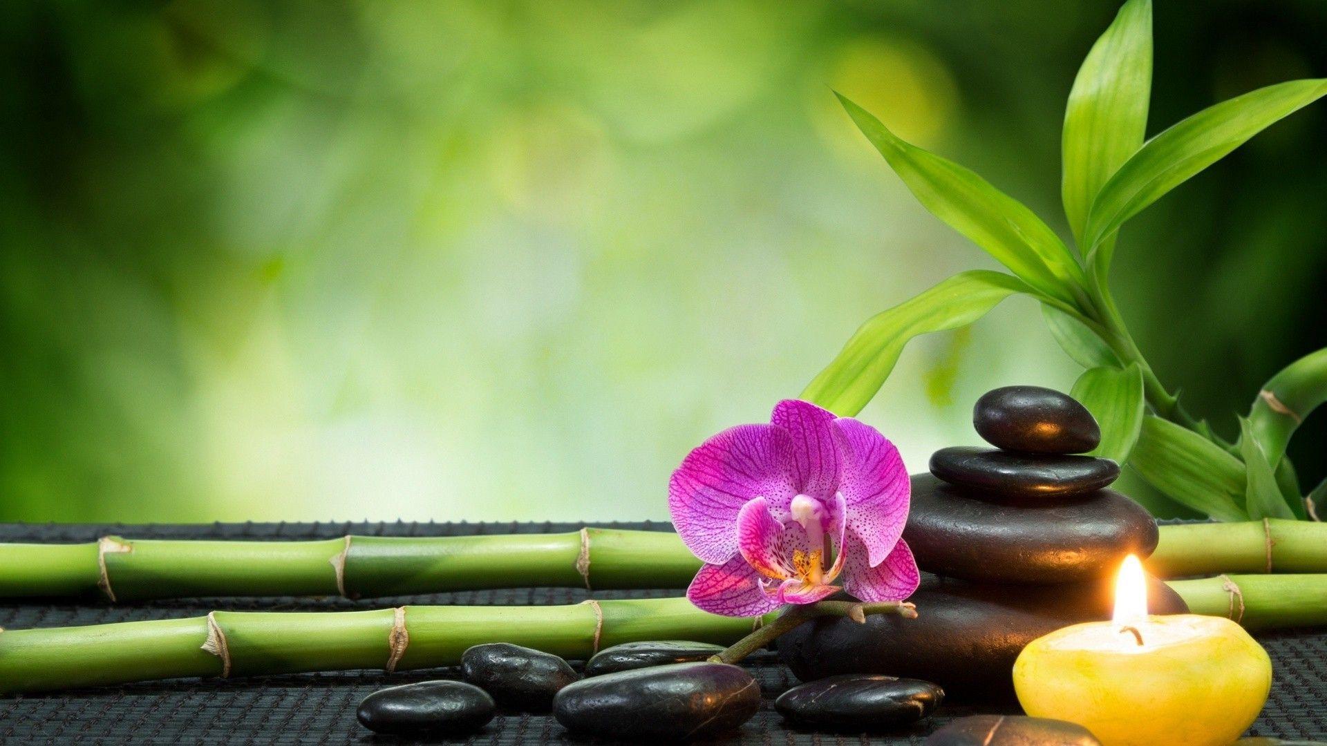1920x1080 nature, Orchids, Pebbles, Candles, Bamboo Wallpaper HD / Desktop