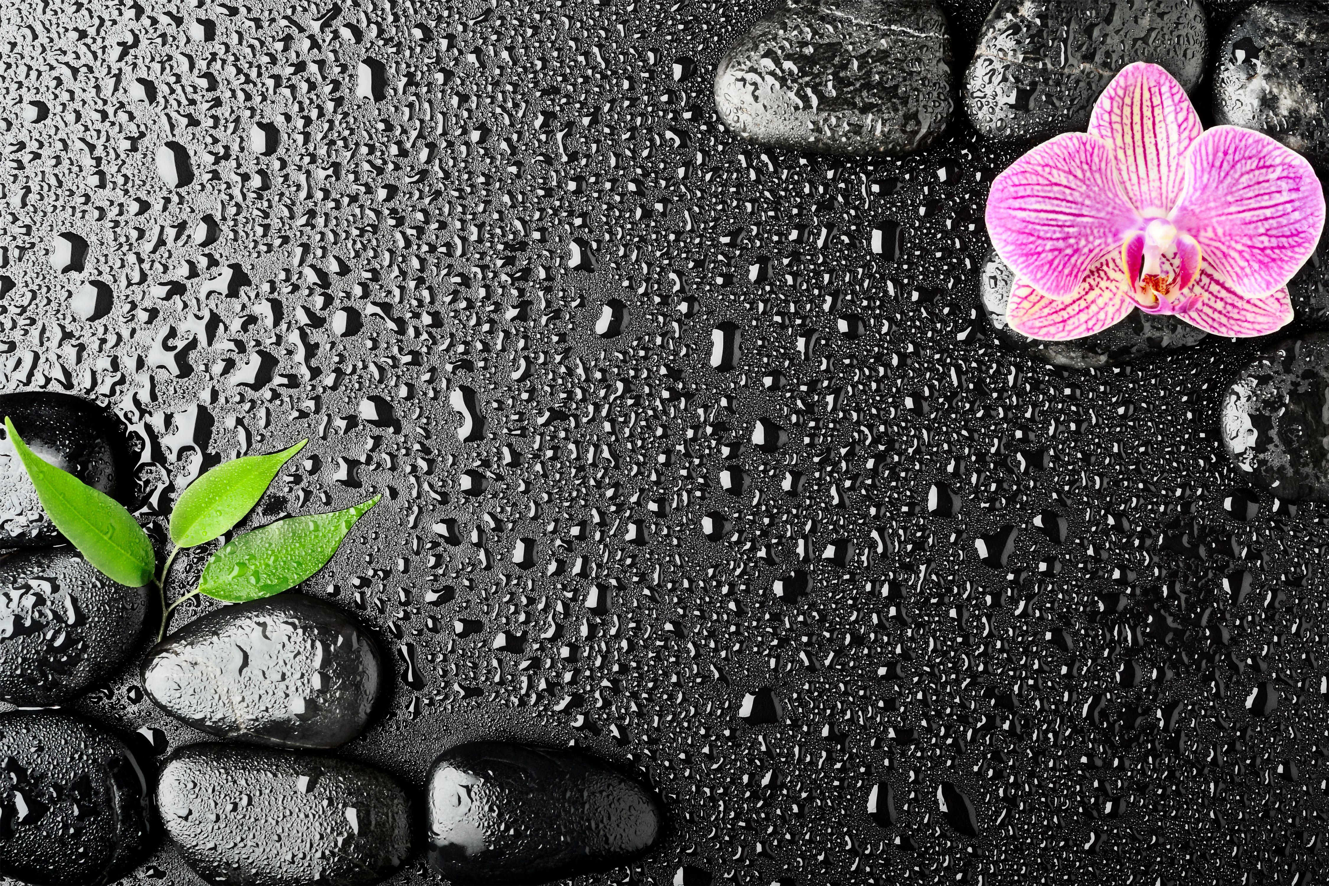 4500x3000 Spa Background with Orchid and Stones