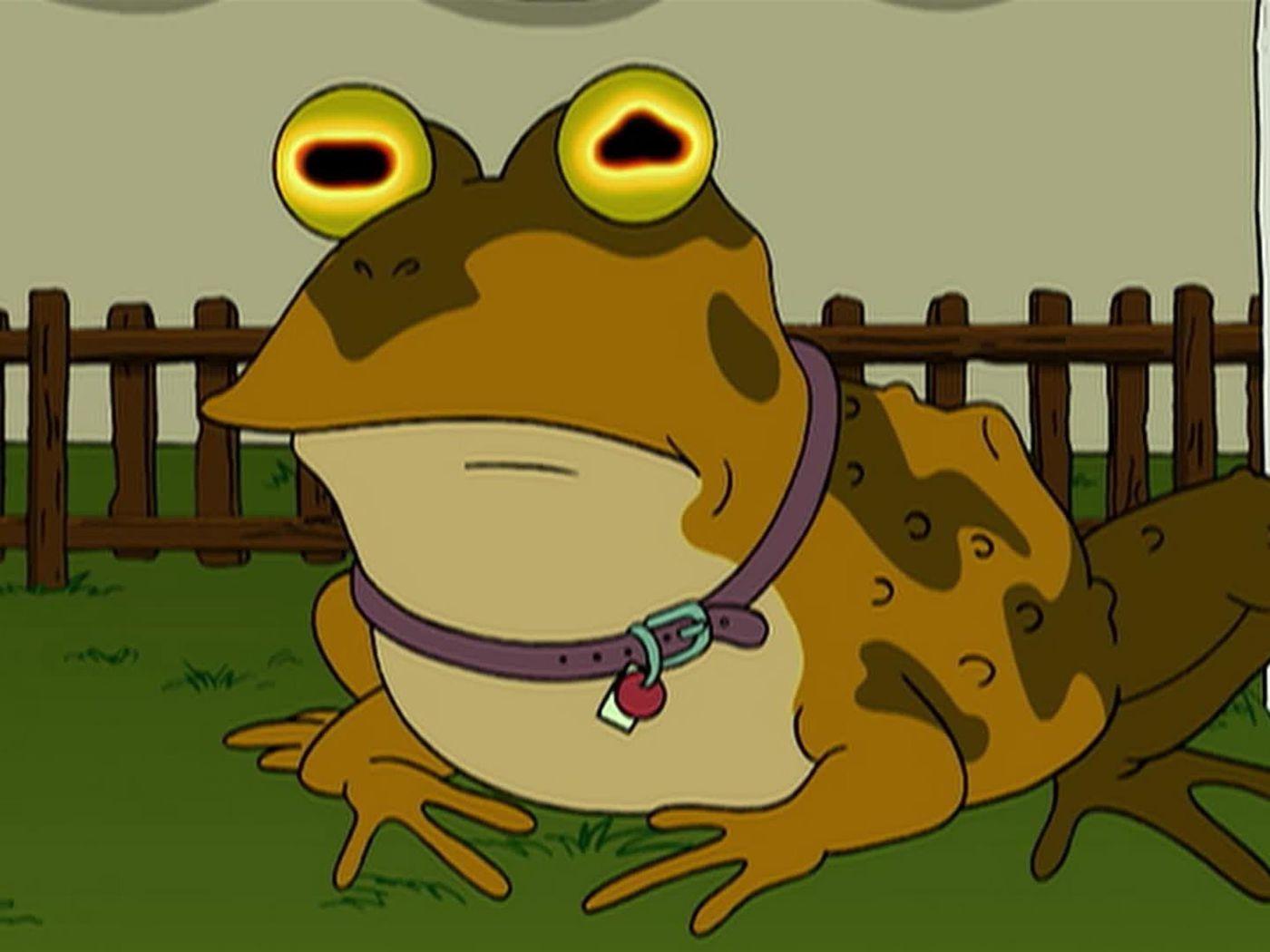 Hypnotoad Wallpapers Top Free Hypnotoad Backgrounds Wallpaperaccess