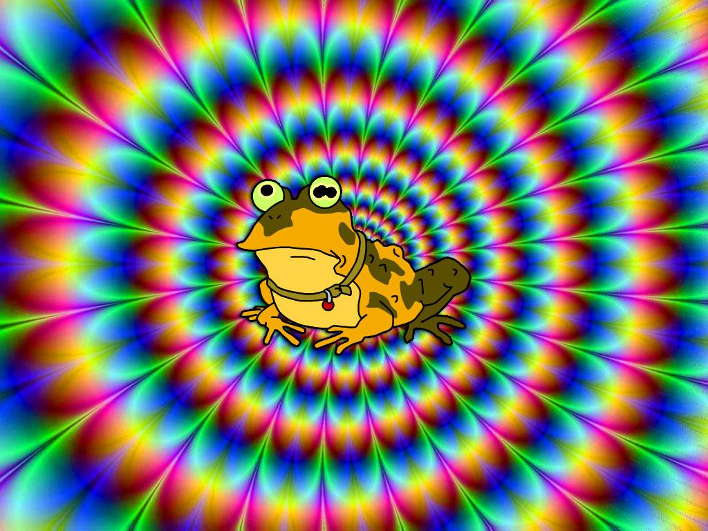 1024x768 Hypnotoad Wallpaper