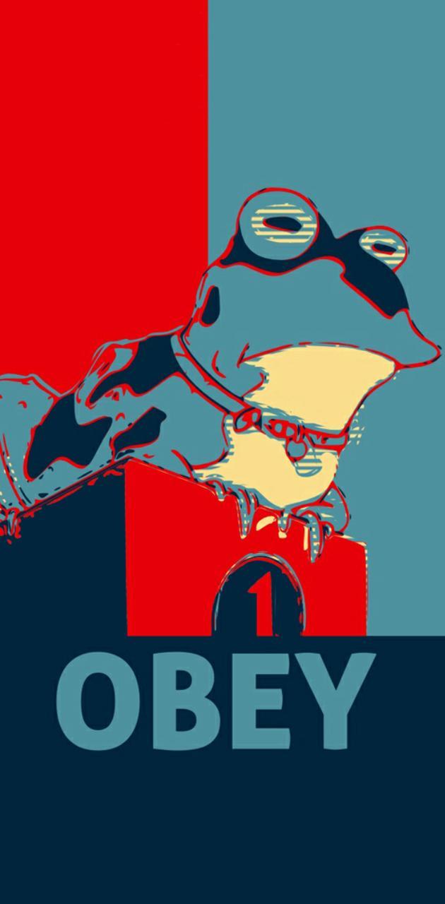 630x1280 Obey Hypno Toad wallpaper