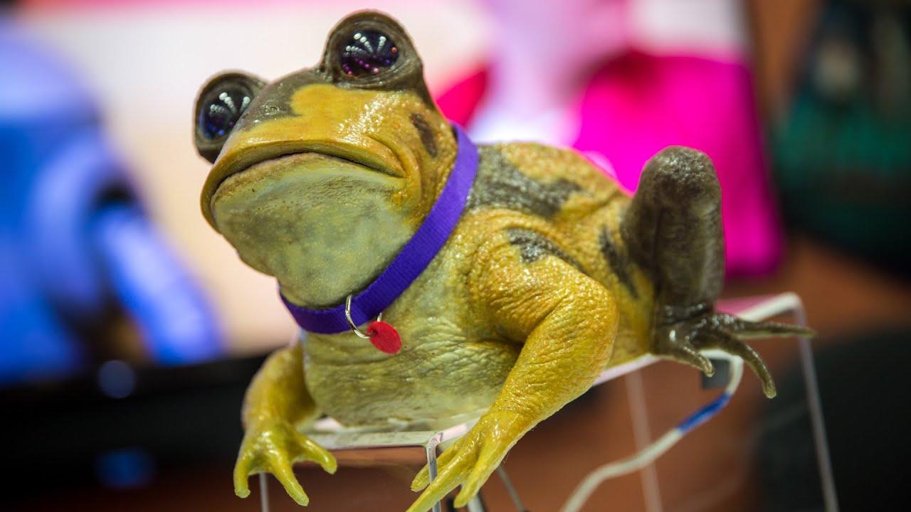1280x720 Real Life Futurama Hypnotoad Animatronic