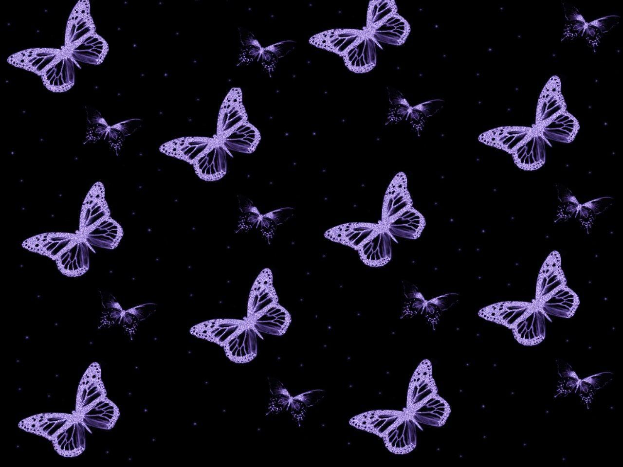Black and Purple Butterflies Wallpapers - Top Free Black and Purple Butterflies  Backgrounds - WallpaperAccess