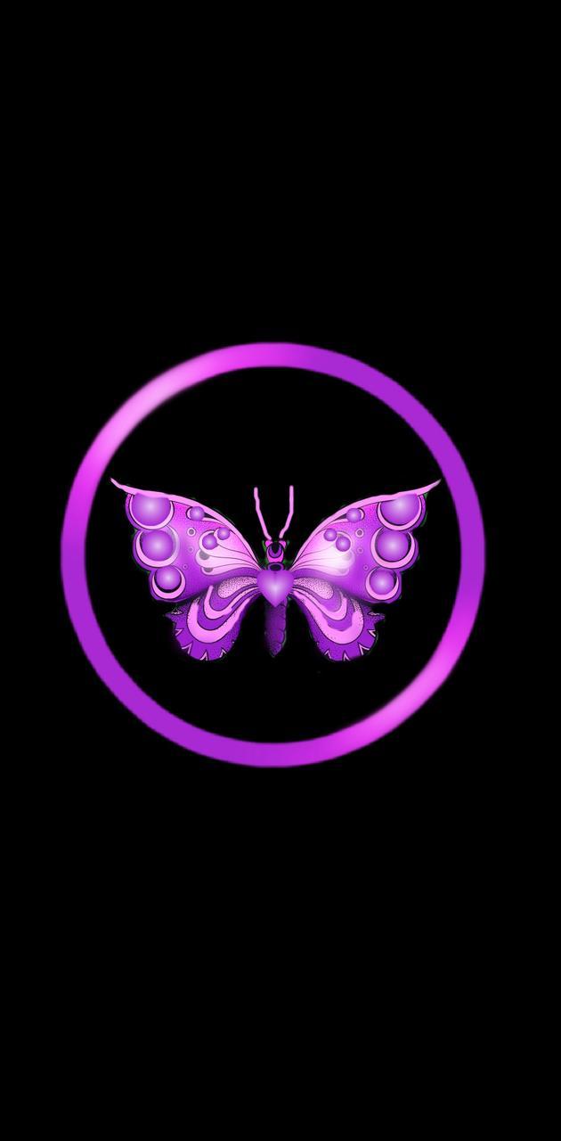 Black and Purple Butterflies Wallpapers Top Free Black and Purple Butterflies Backgrounds