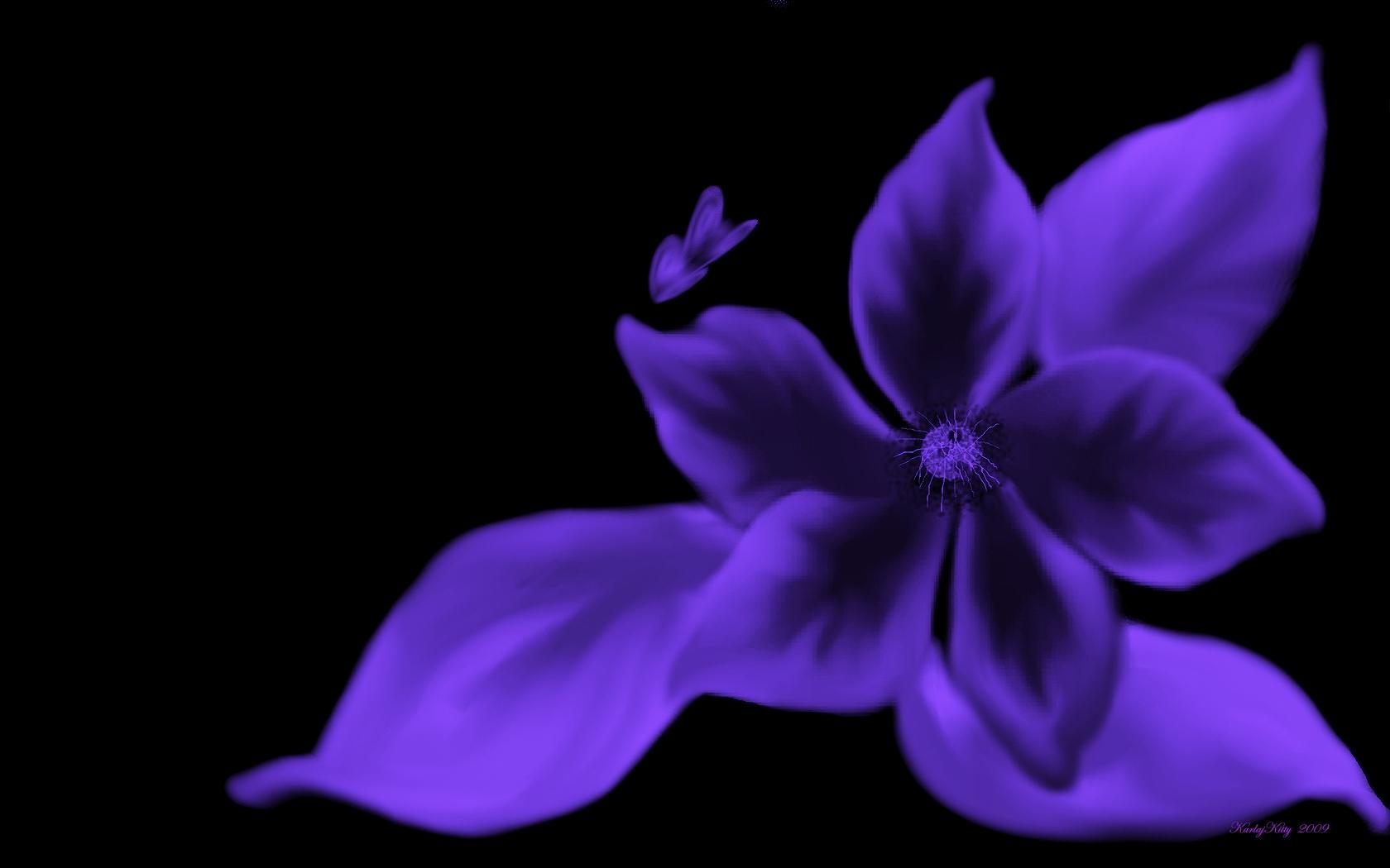 1680x1050 Free download Purple And Black Butterfly Wallpaper Viewing Gallery [1680x1050] for your Desktop, Mobile & Tablet. Explore Black Butterfly Wallpaper. Pink and Black Butterfly Wallpaper