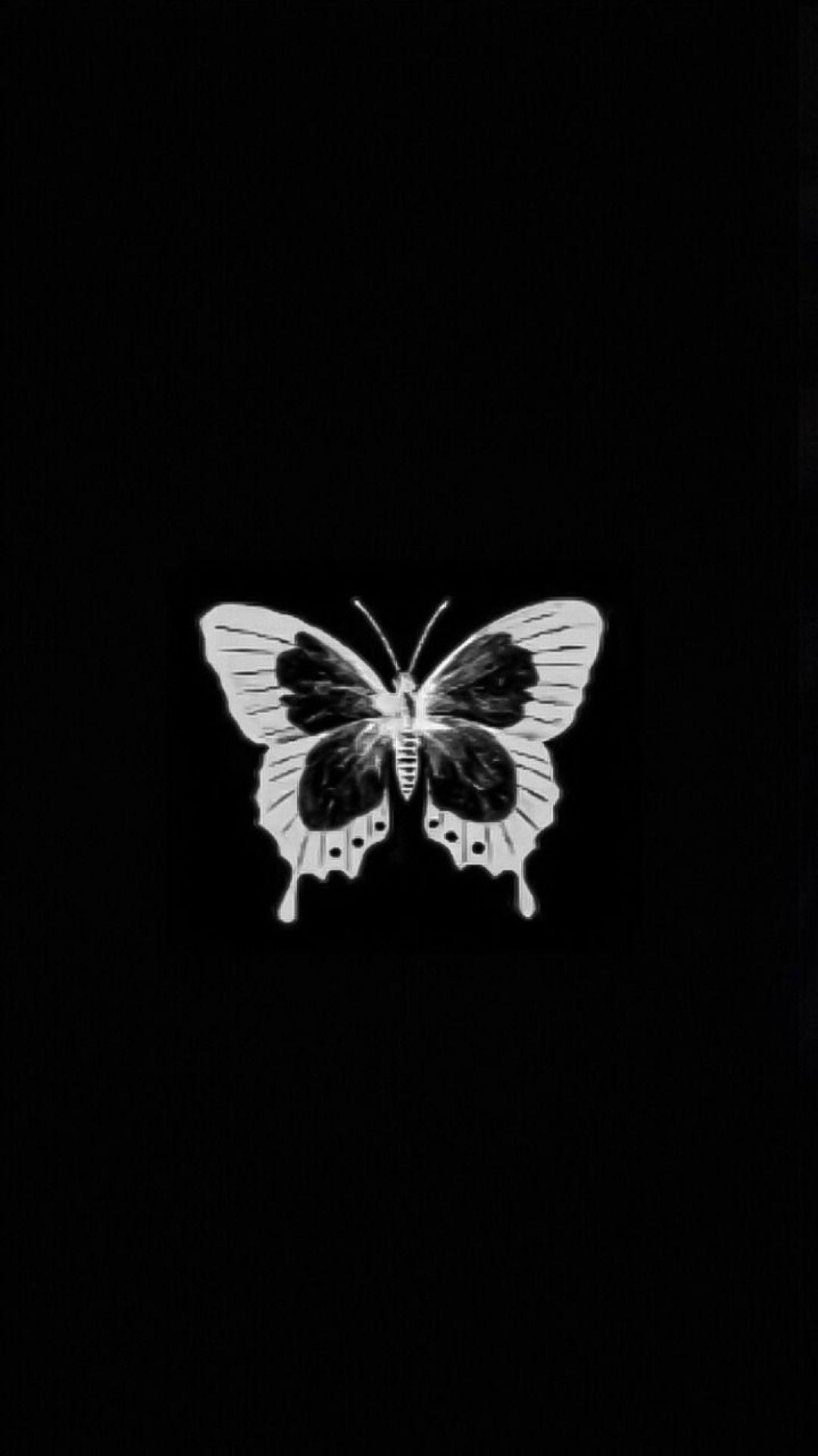 1080x1923 Butterfly Aesthetic Wallpaper