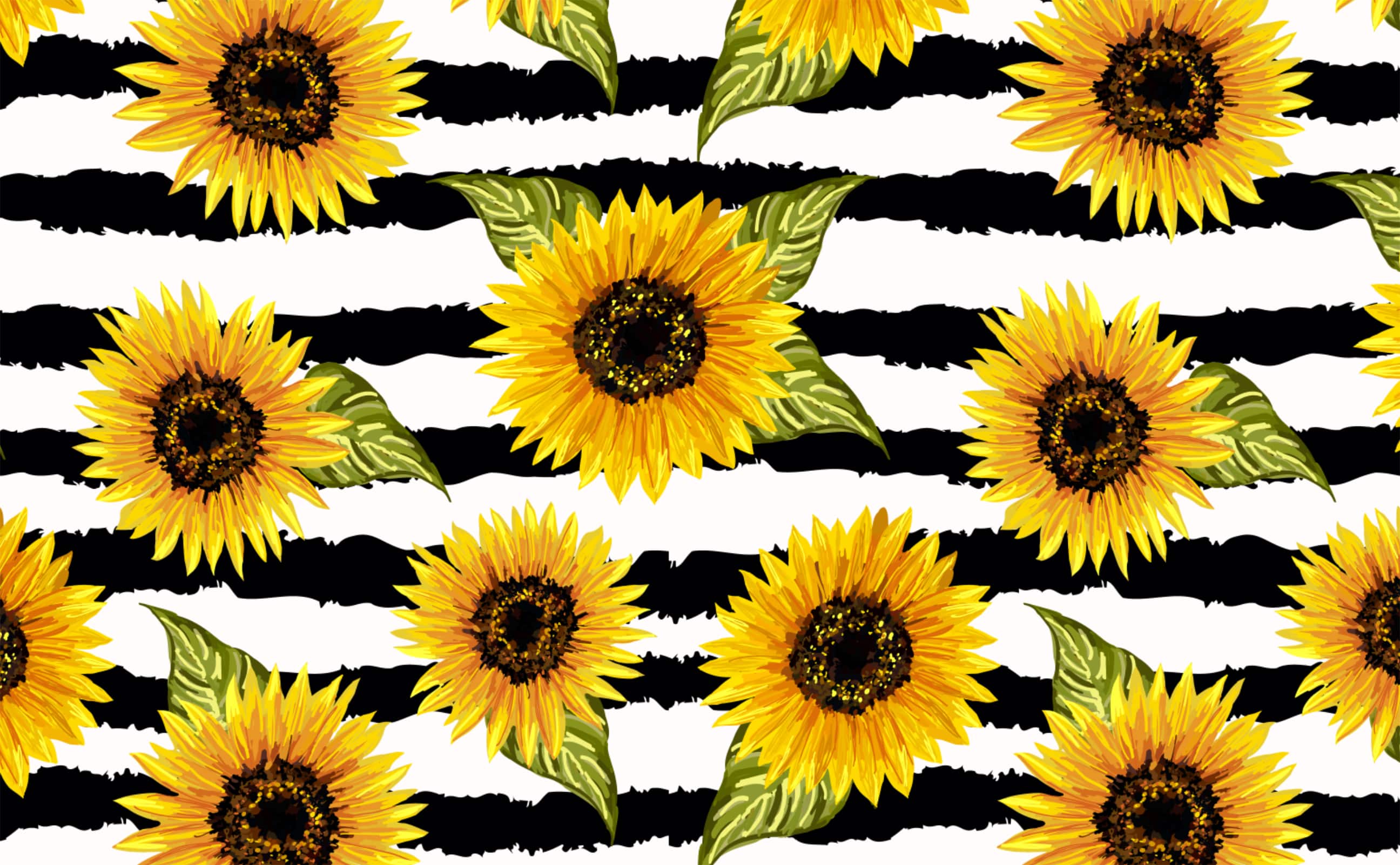 2592x1602 Vibrant sunflower on black white contrast background Wallpaper for Walls