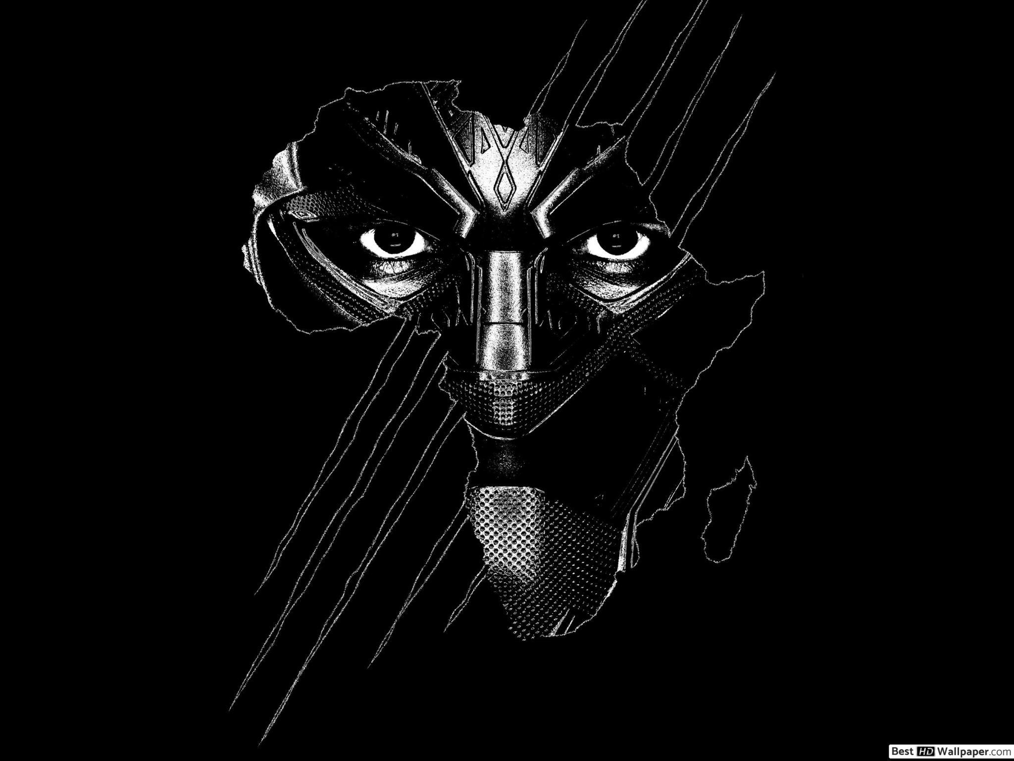 2048x1536 Black Panther (Marvel Superhero) HD wallpaper download