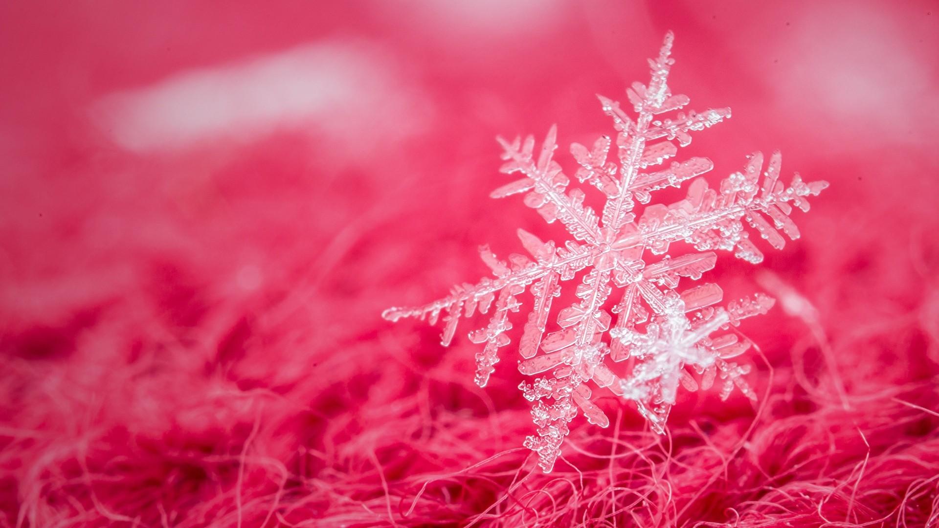 Pink Winter Wonderland Wallpapers Top Free Pink Winter Wonderland