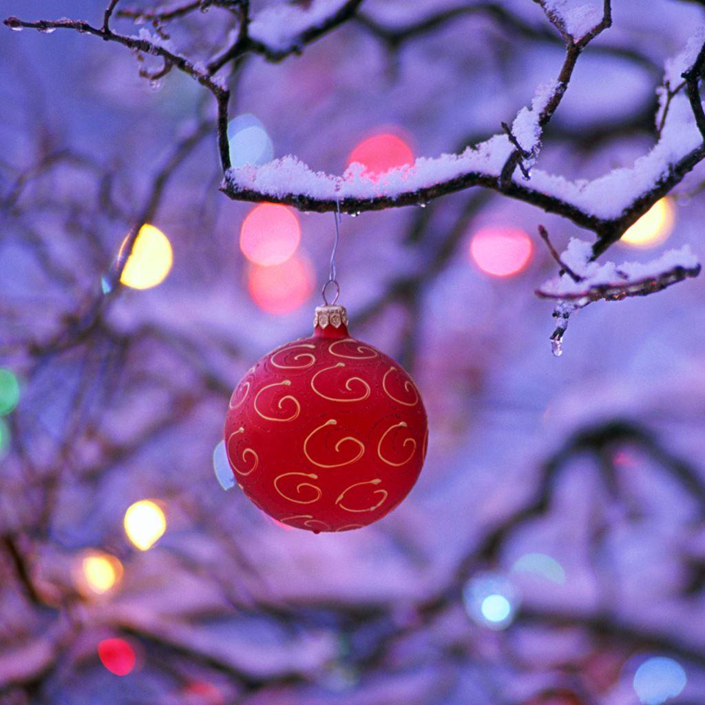 1024x1024 red Christmas ball iPad Wallpaper Free Download