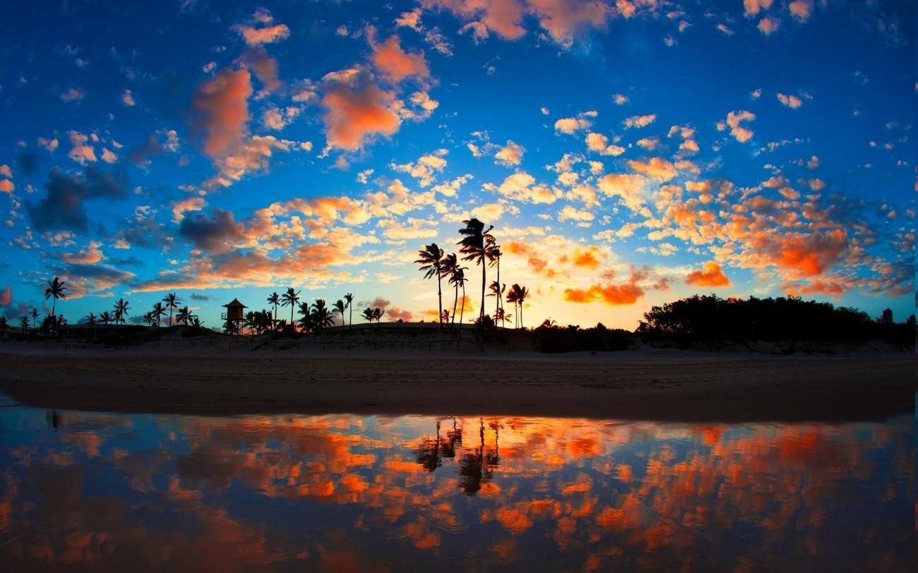 1300x812 nature, Landscape, Sunrise, Beach, Sea, Palm Trees, Clouds, Tropical, Reflection, Sand Wallpaper HD / Desktop and Mobile Background