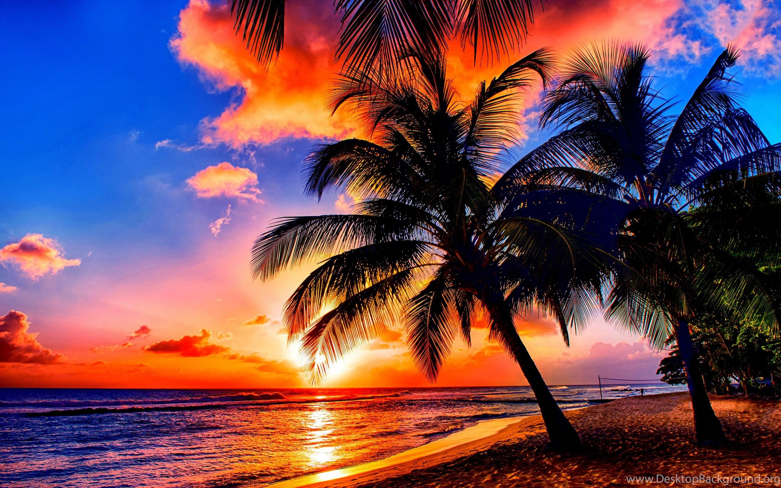 2560x1600 Beaches: TROPICAL SUNRISE Nature Sunrises Sea Coast Palms Tropics. Desktop Background