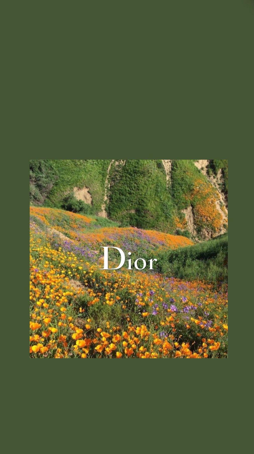 1010x1800 Flower Field Dior Wallpaper. Iconic wallpaper, Aesthetic wallpaper, Art wallpaper iphone