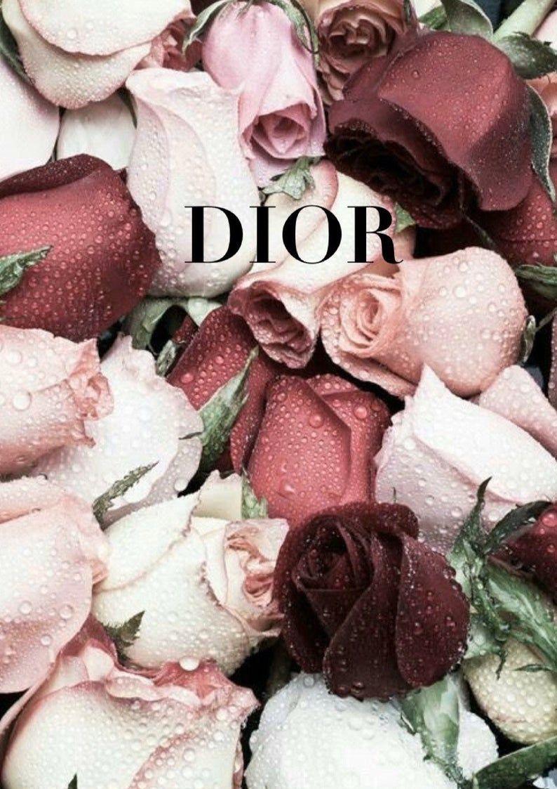 Dior Flower Wallpapers - Top Free Dior Flower Backgrounds - WallpaperAccess