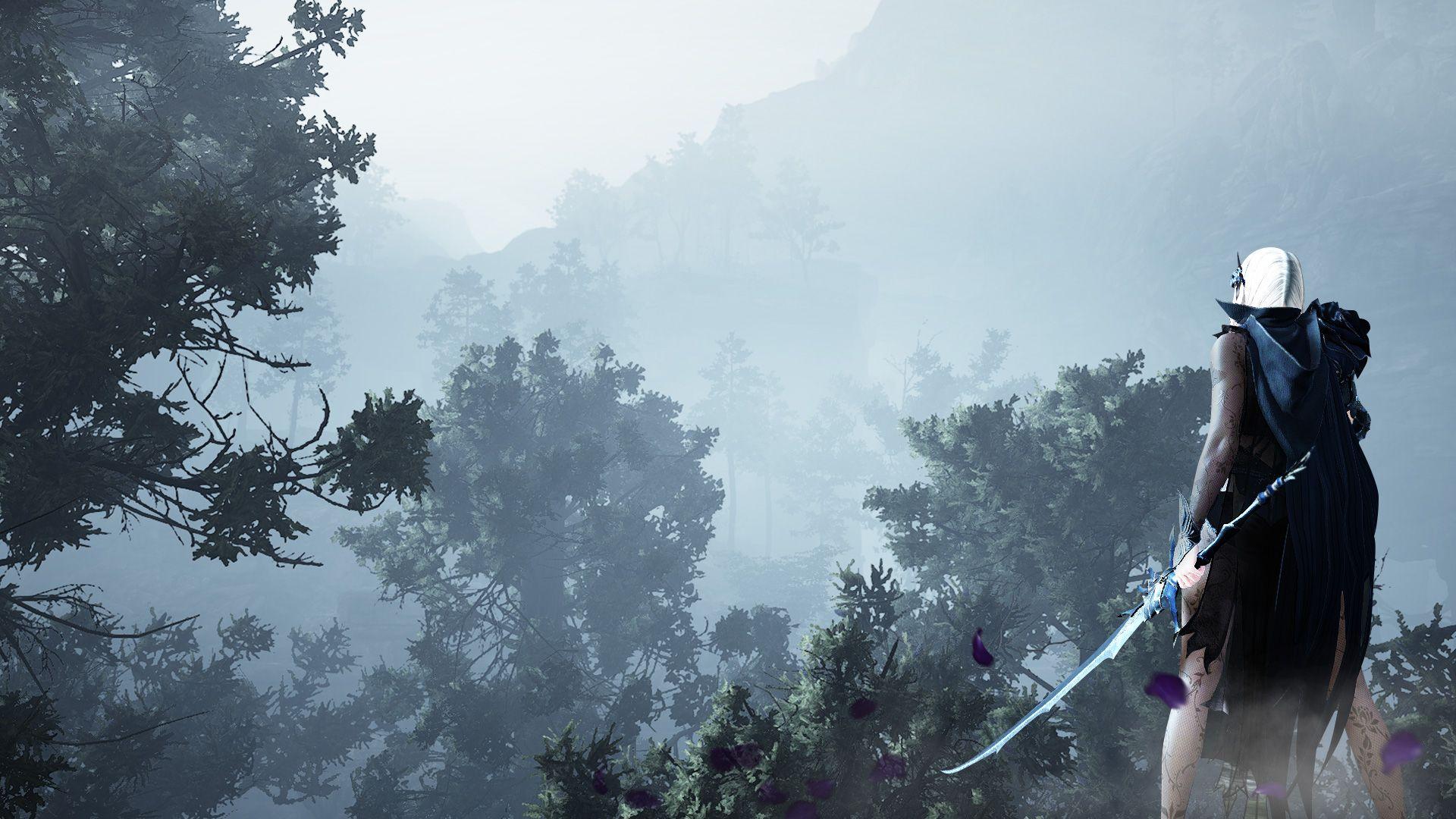 1920x1080 Black Desert Online Wallpaper