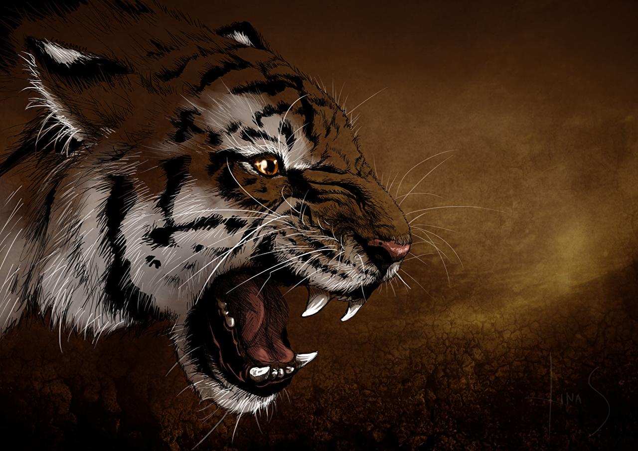 Roaring Tiger Head Wallpapers - Top Free Roaring Tiger Head Backgrounds ...