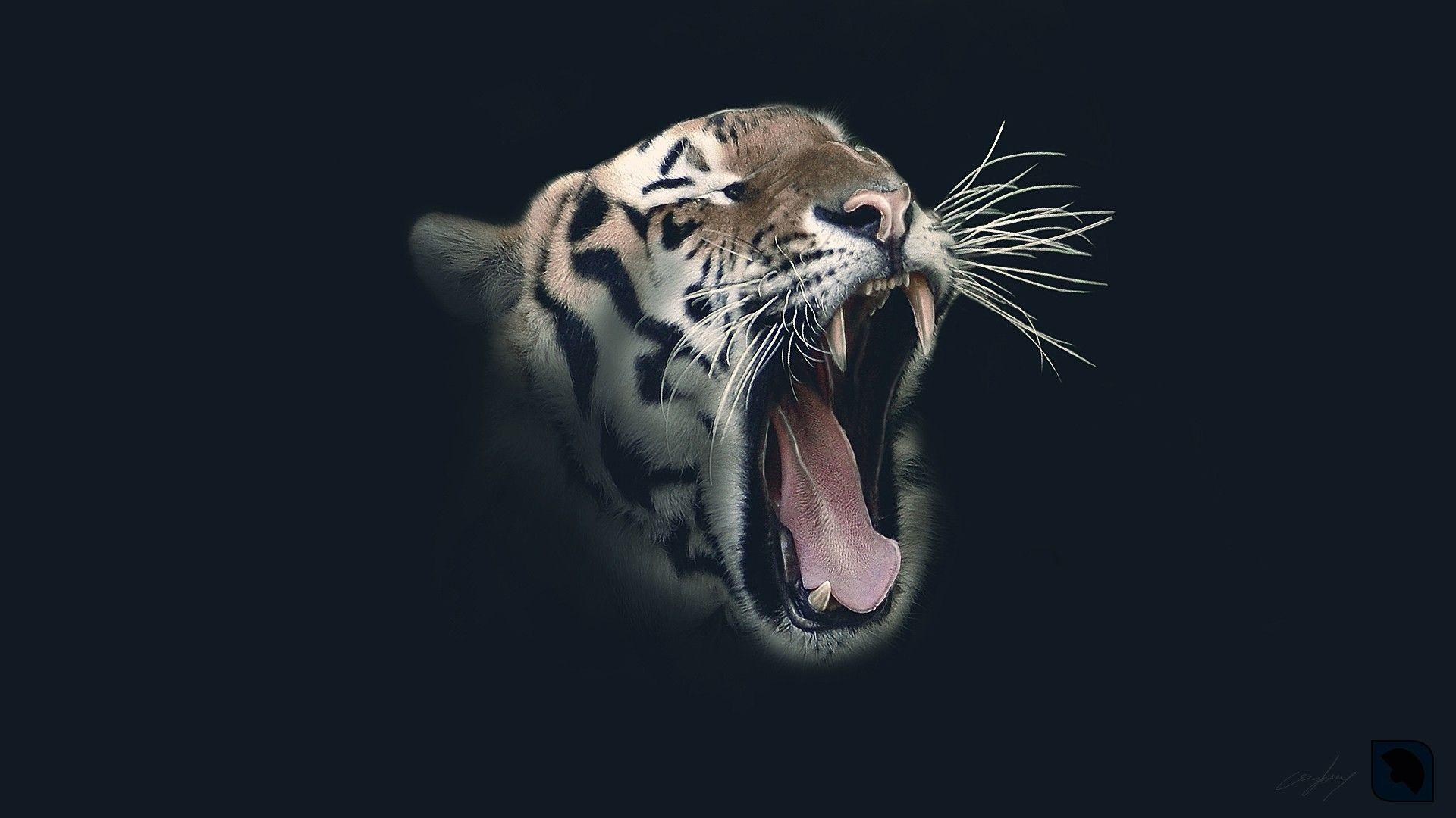 1920x1080 Roar Wallpaper