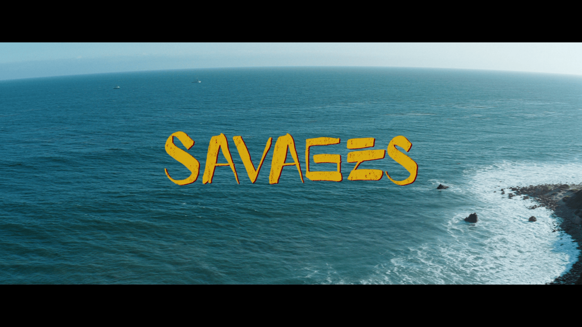 1920x1080 Review: Savages BD + Screen Caps
