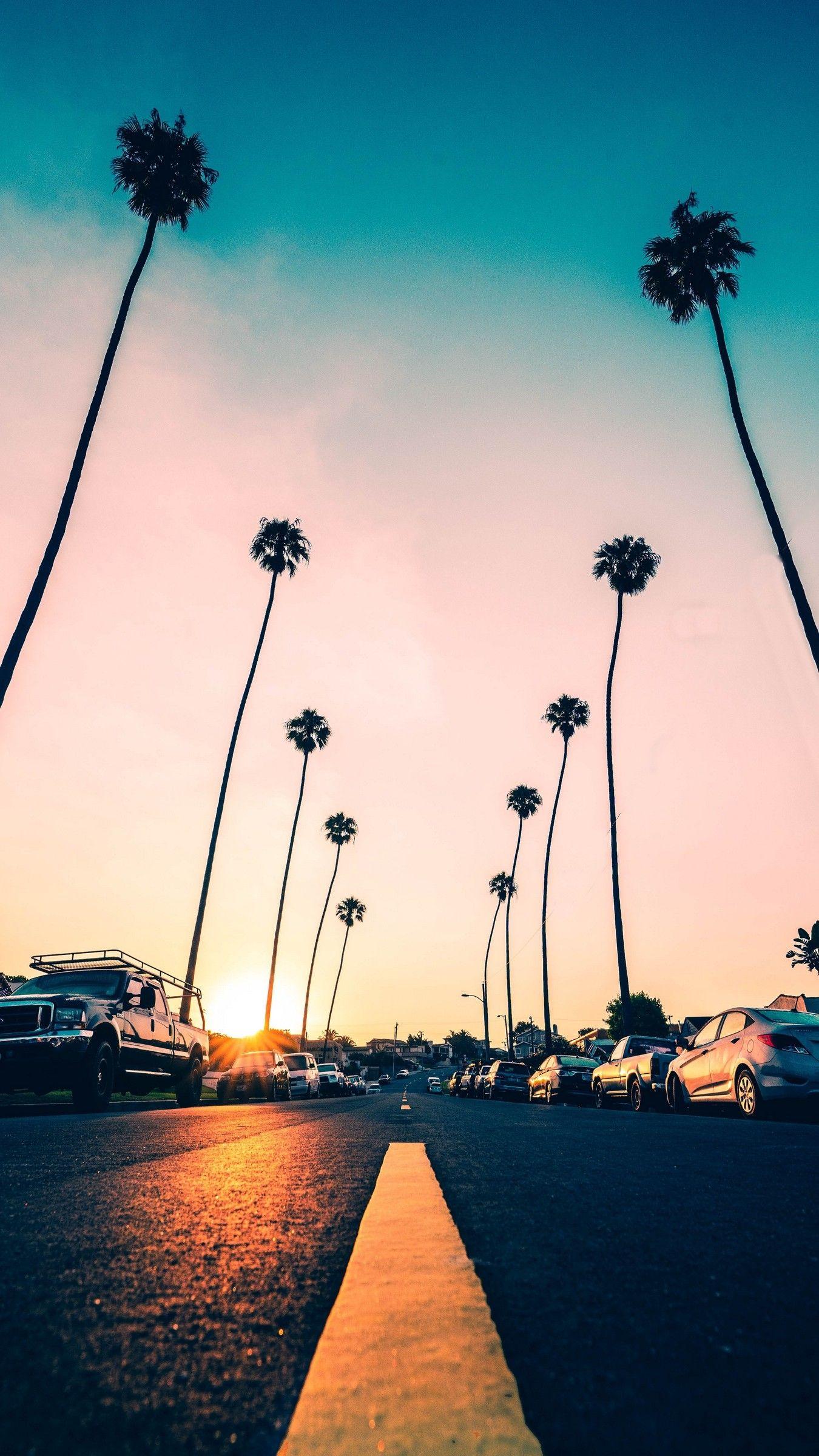 1350x2400 California Palm Trees iPhone Wallpaper